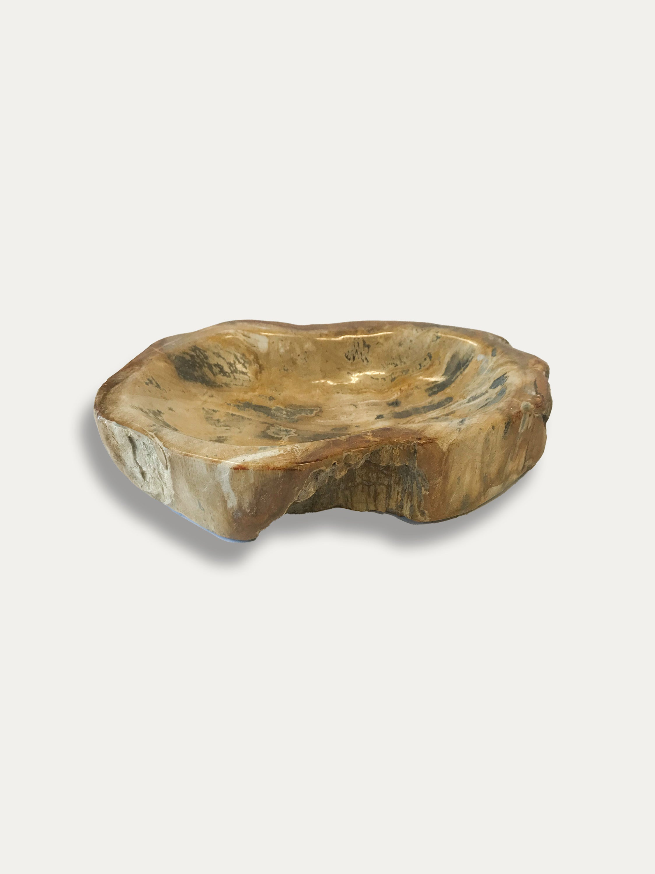 Petrified Wood Bowl - Enjoy Italy's largest collection of Petrified wood accessories!