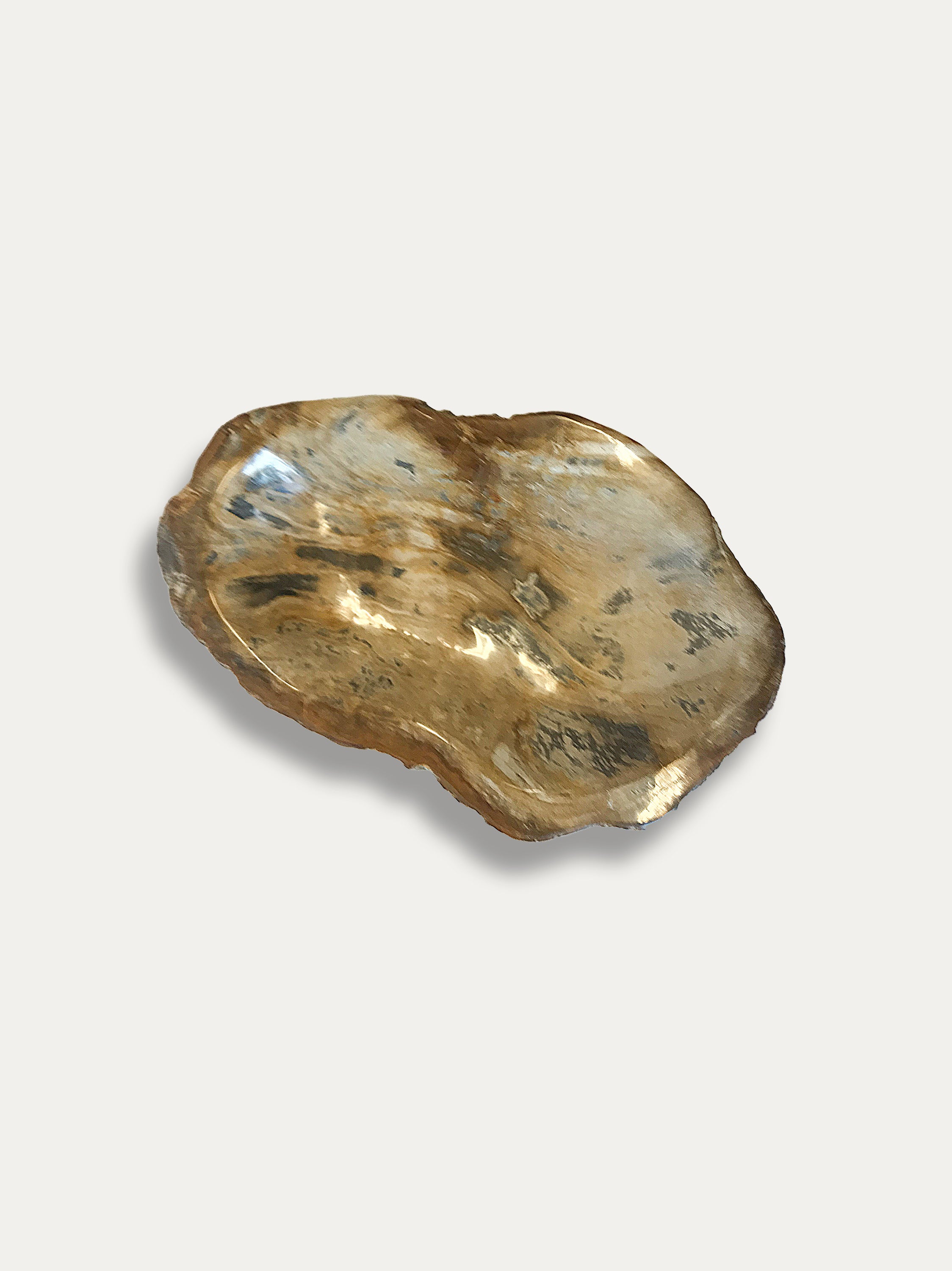 Petrified Wood Bowl - Enjoy Italy's largest collection of Petrified wood accessories!