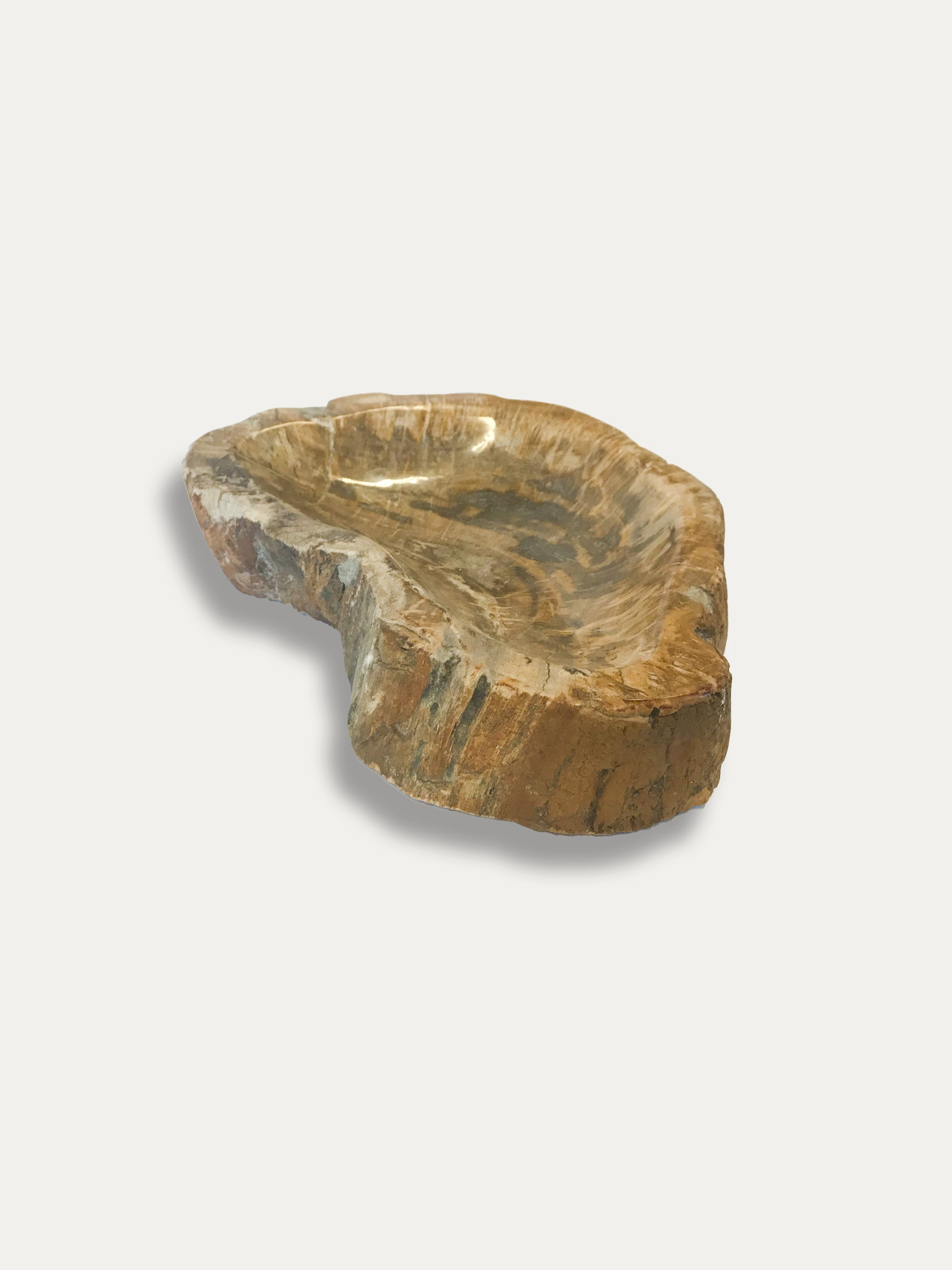 Petrified Wood Bowl - Enjoy Italy's largest collection of Petrified wood accessories!