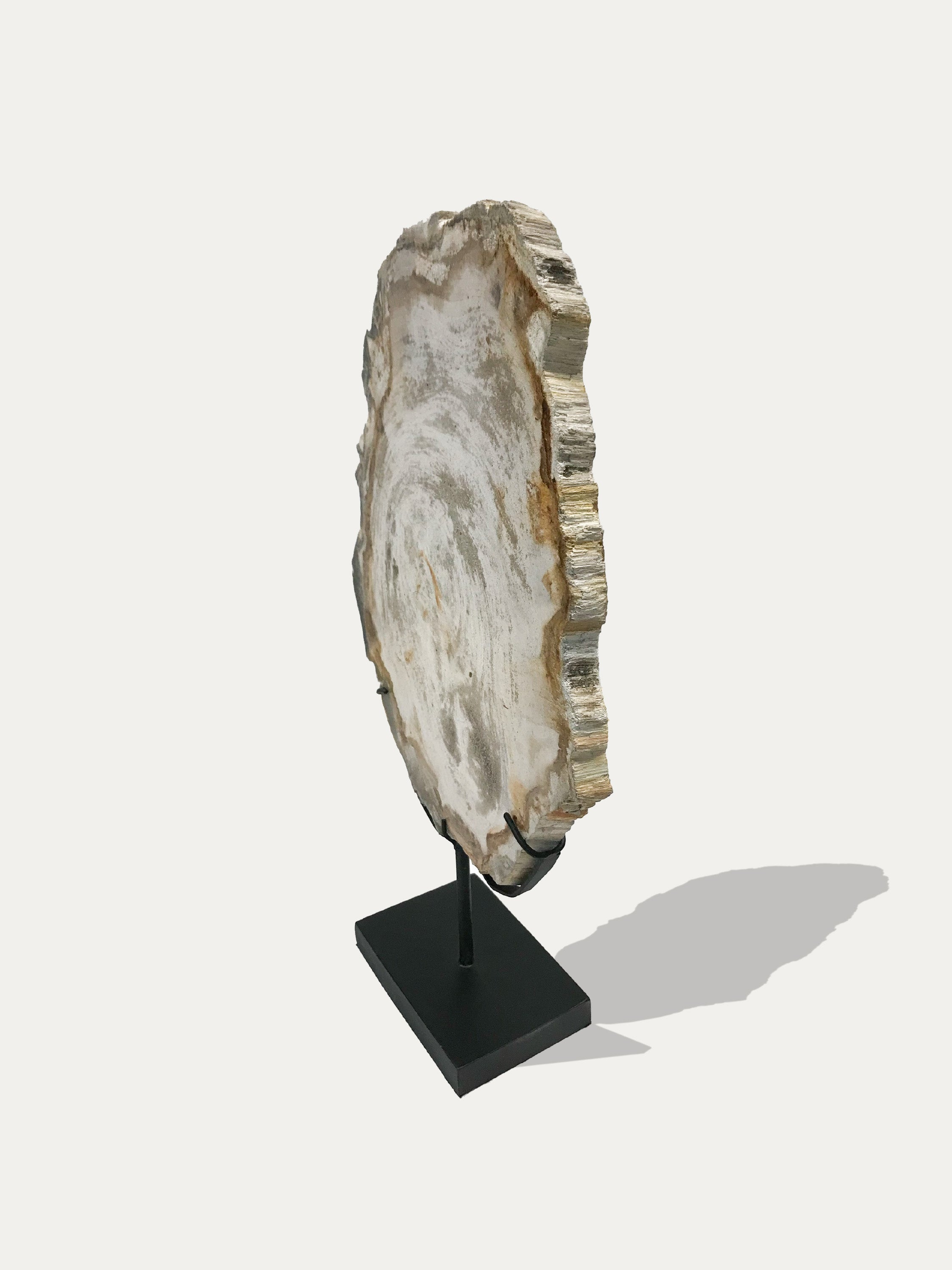 Petrified Wood Sculpture and Tray - Asian art from Kirschon