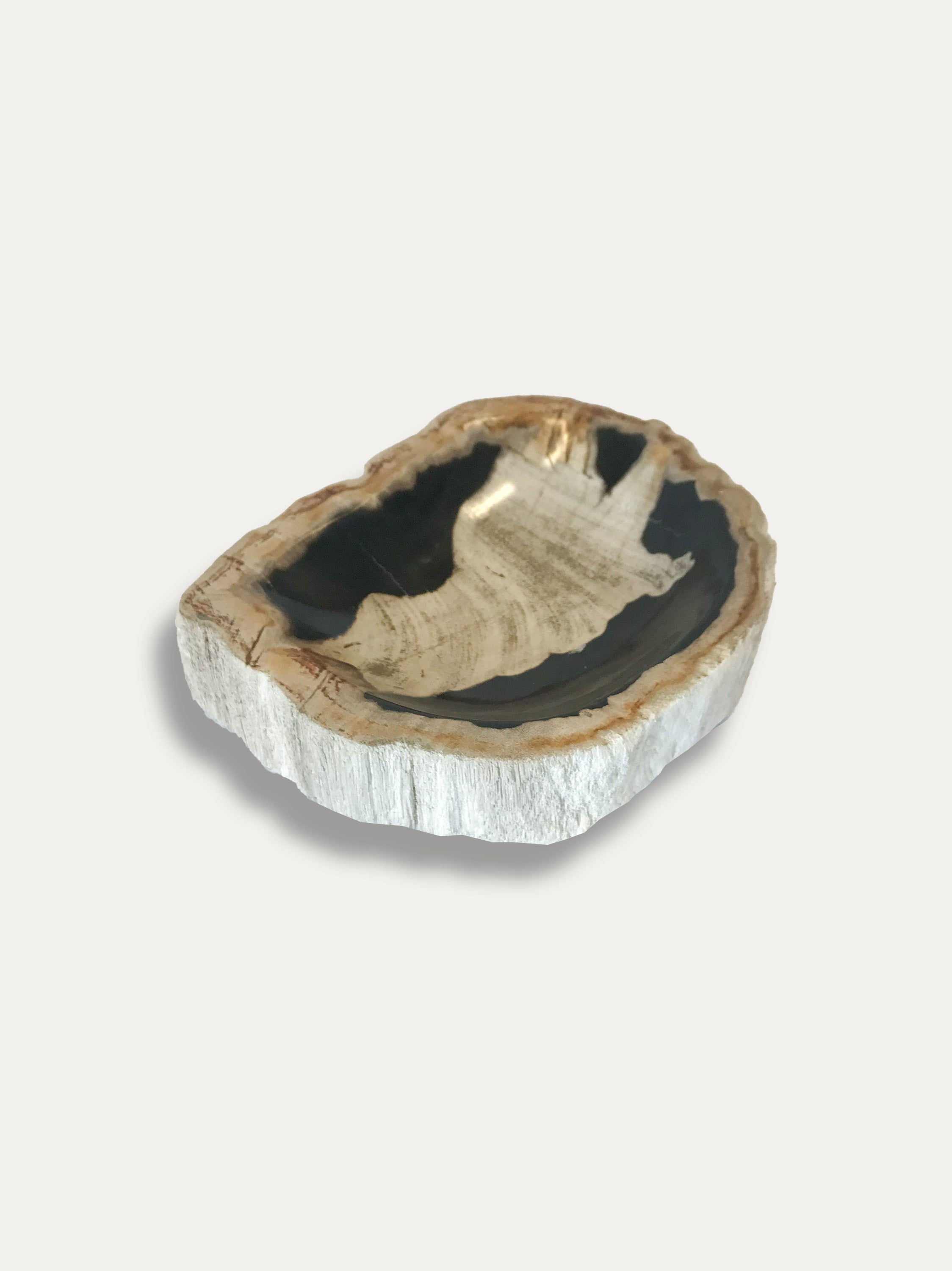 Petrified Wood Bowl - Enjoy Italy's largest collection of Petrified wood accessories!