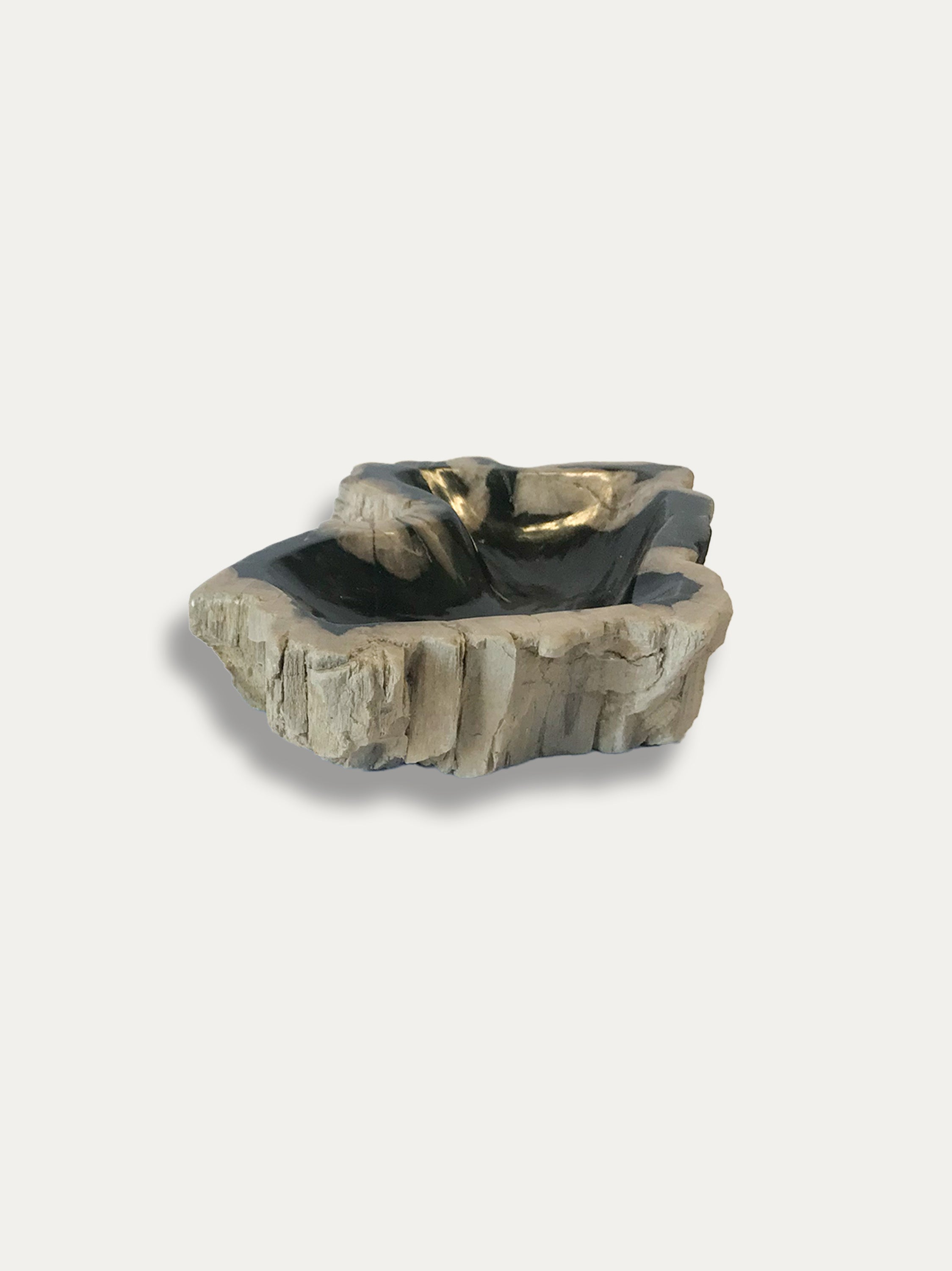 Petrified Wood Bowl - Enjoy Italy's largest collection of Petrified wood accessories!