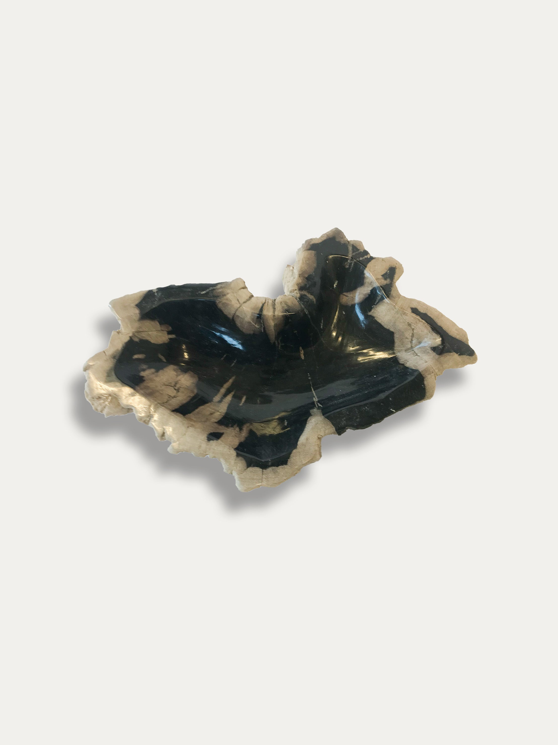 Petrified Wood Bowl - Enjoy Italy's largest collection of Petrified wood accessories!