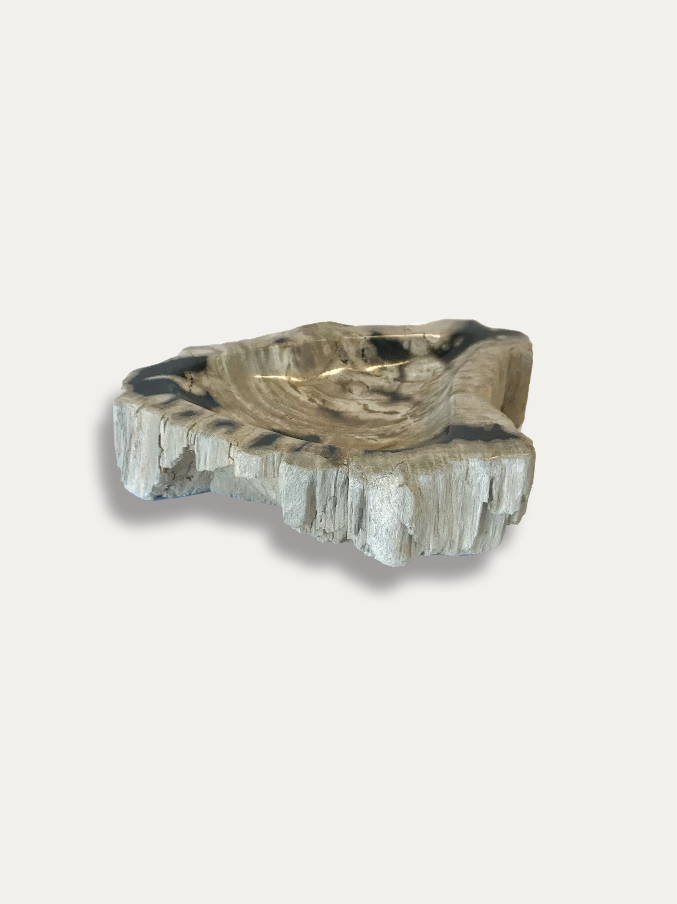 Petrified Wood Bowl - Enjoy Italy's largest collection of Petrified wood accessories!