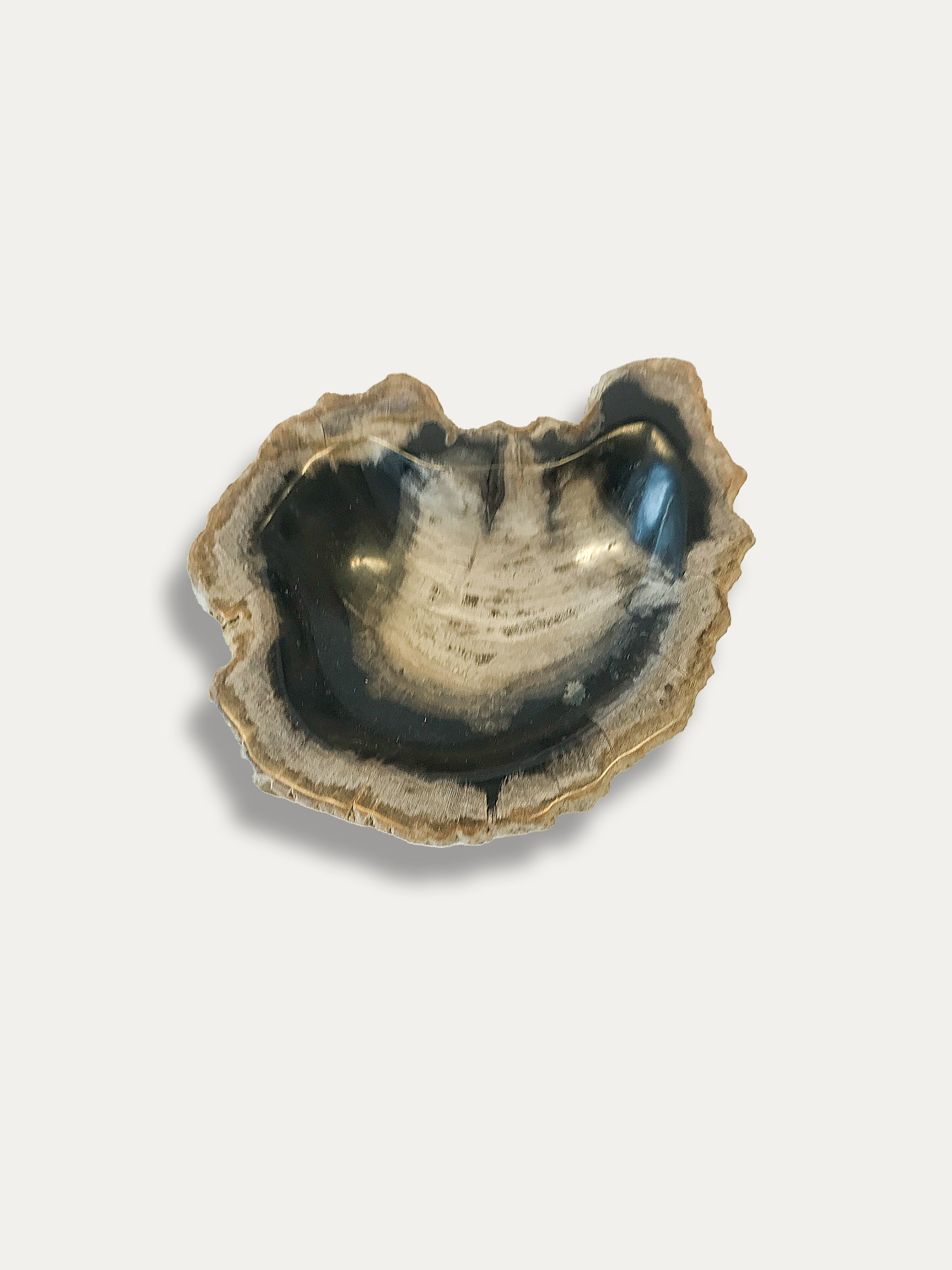 Petrified Wood Bowl - Enjoy Italy's largest collection of Petrified wood accessories!