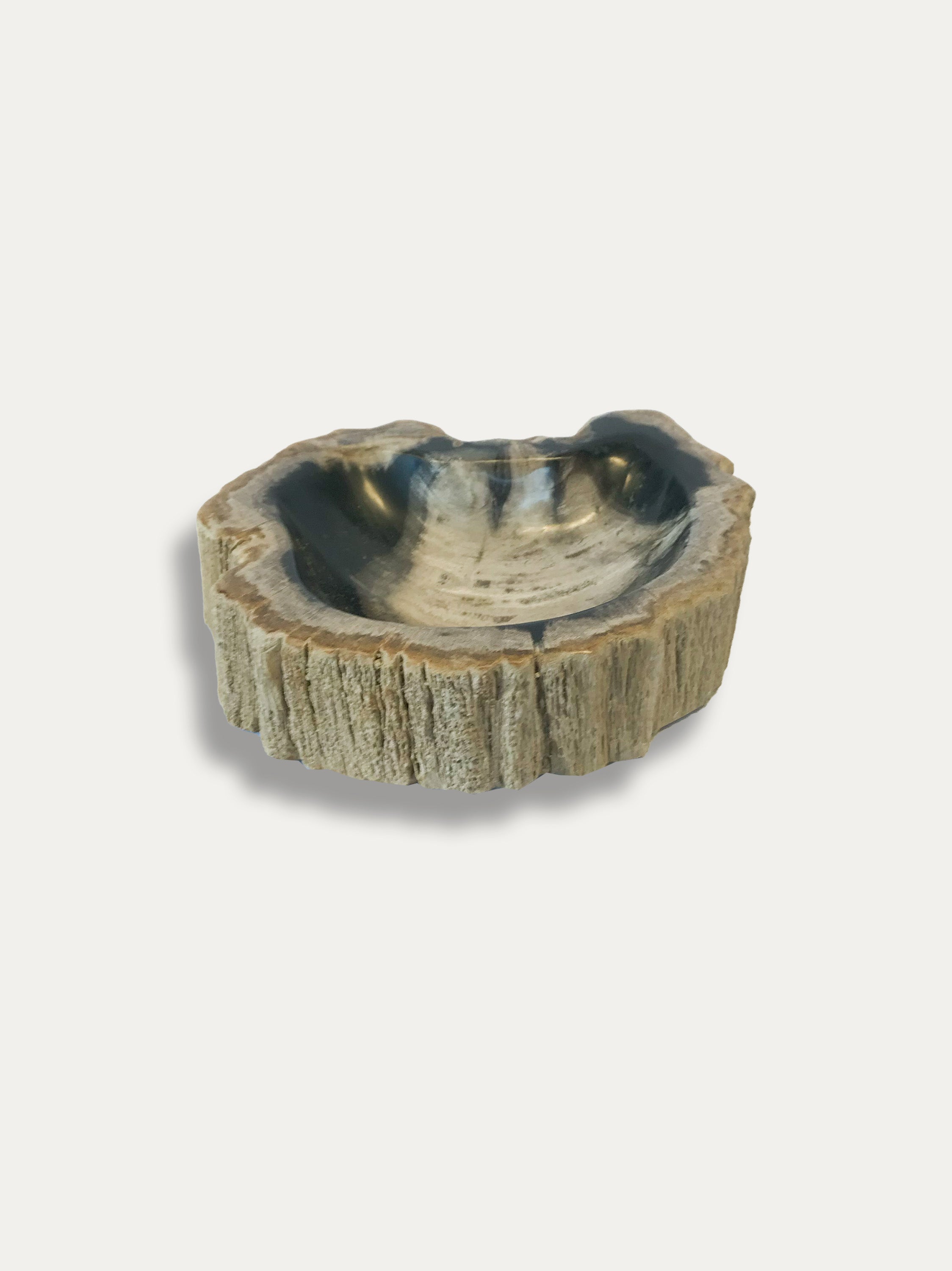 Petrified Wood Bowl - Enjoy Italy's largest collection of Petrified wood accessories!