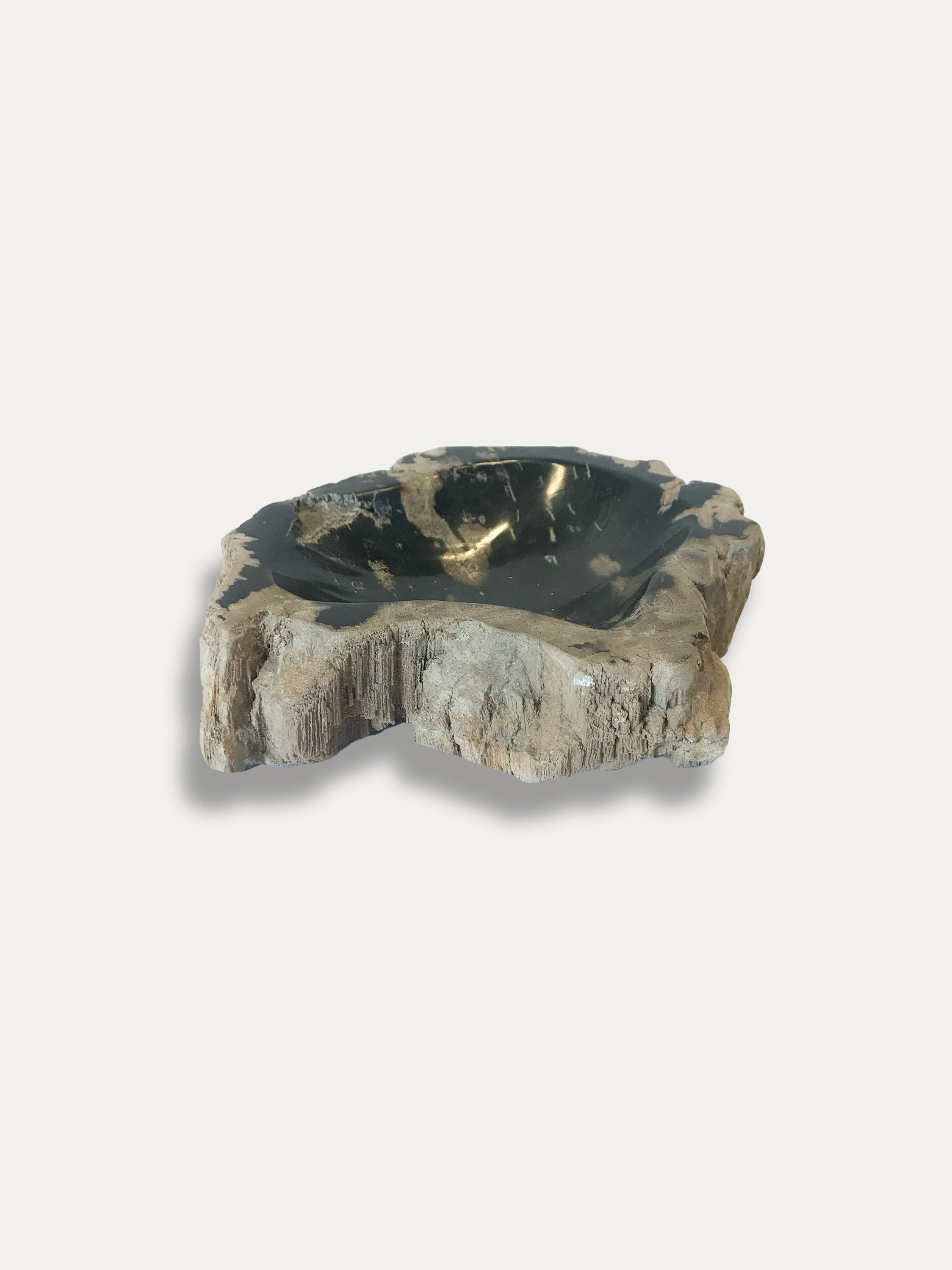 Petrified Wood Bowl - Enjoy Italy's largest collection of Petrified wood accessories!