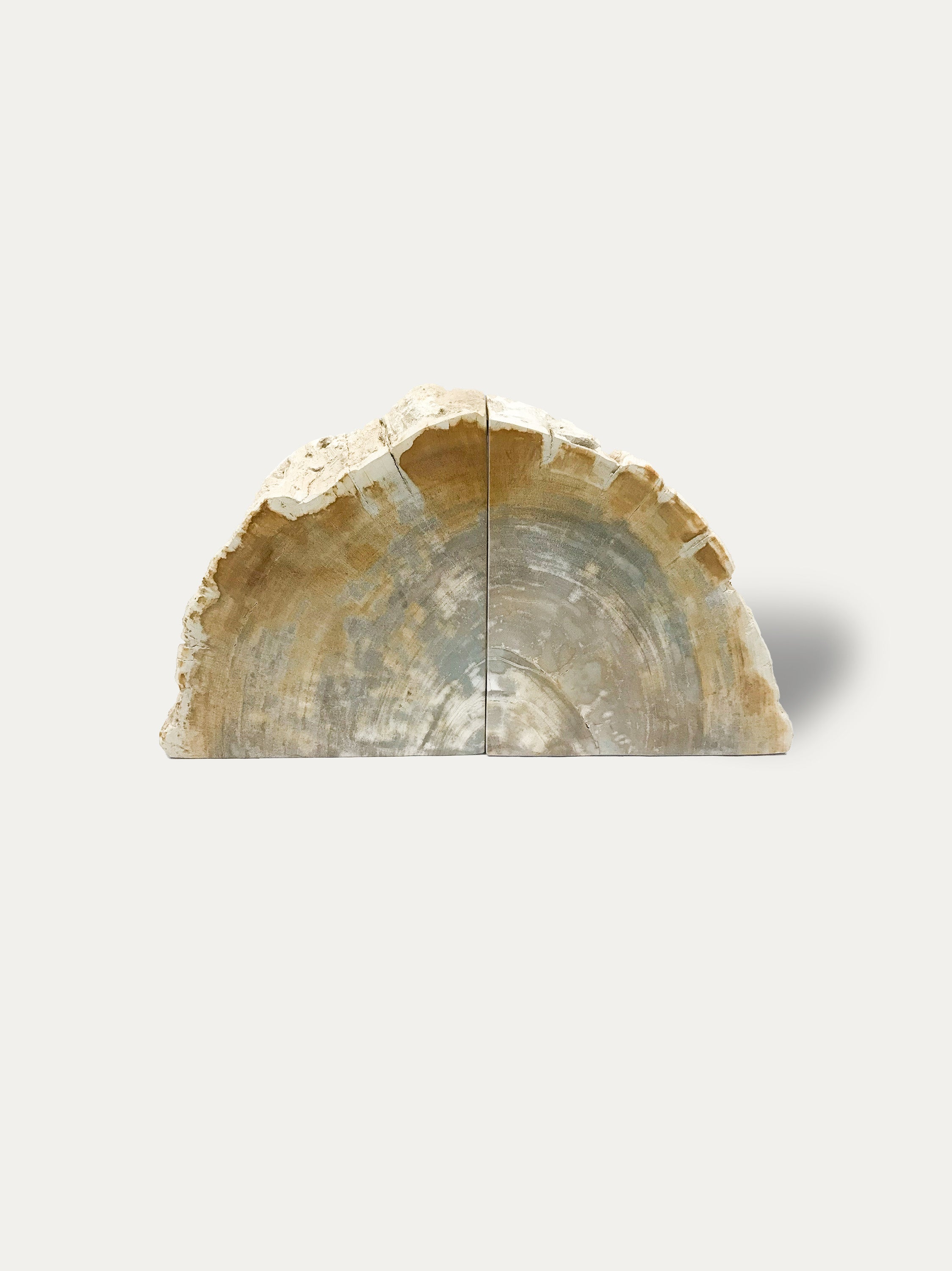 Petrified wood bookends - Asian art from Kirschon