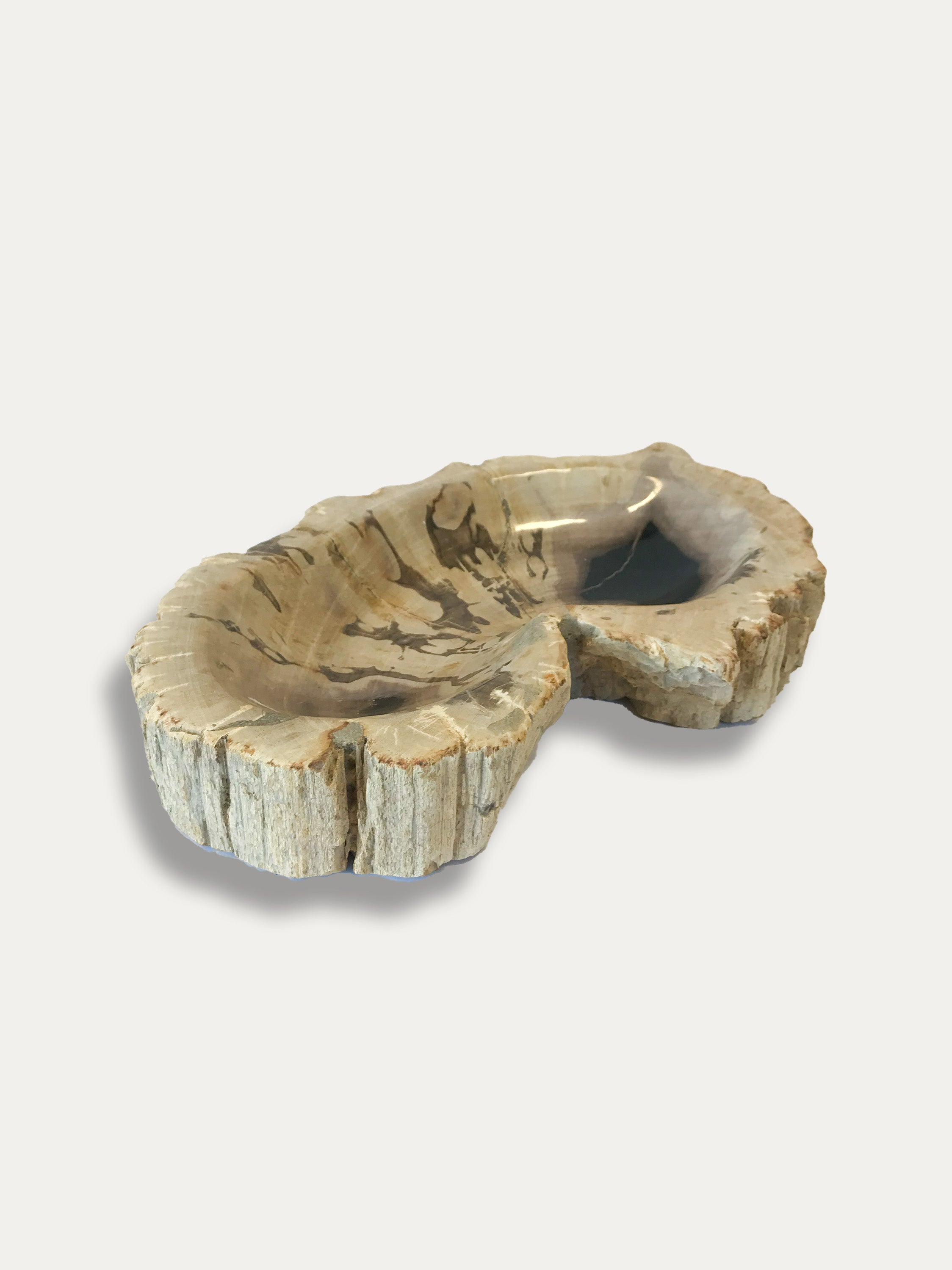 Petrified Wood Bowl - Enjoy Italy's largest collection of Petrified wood accessories!