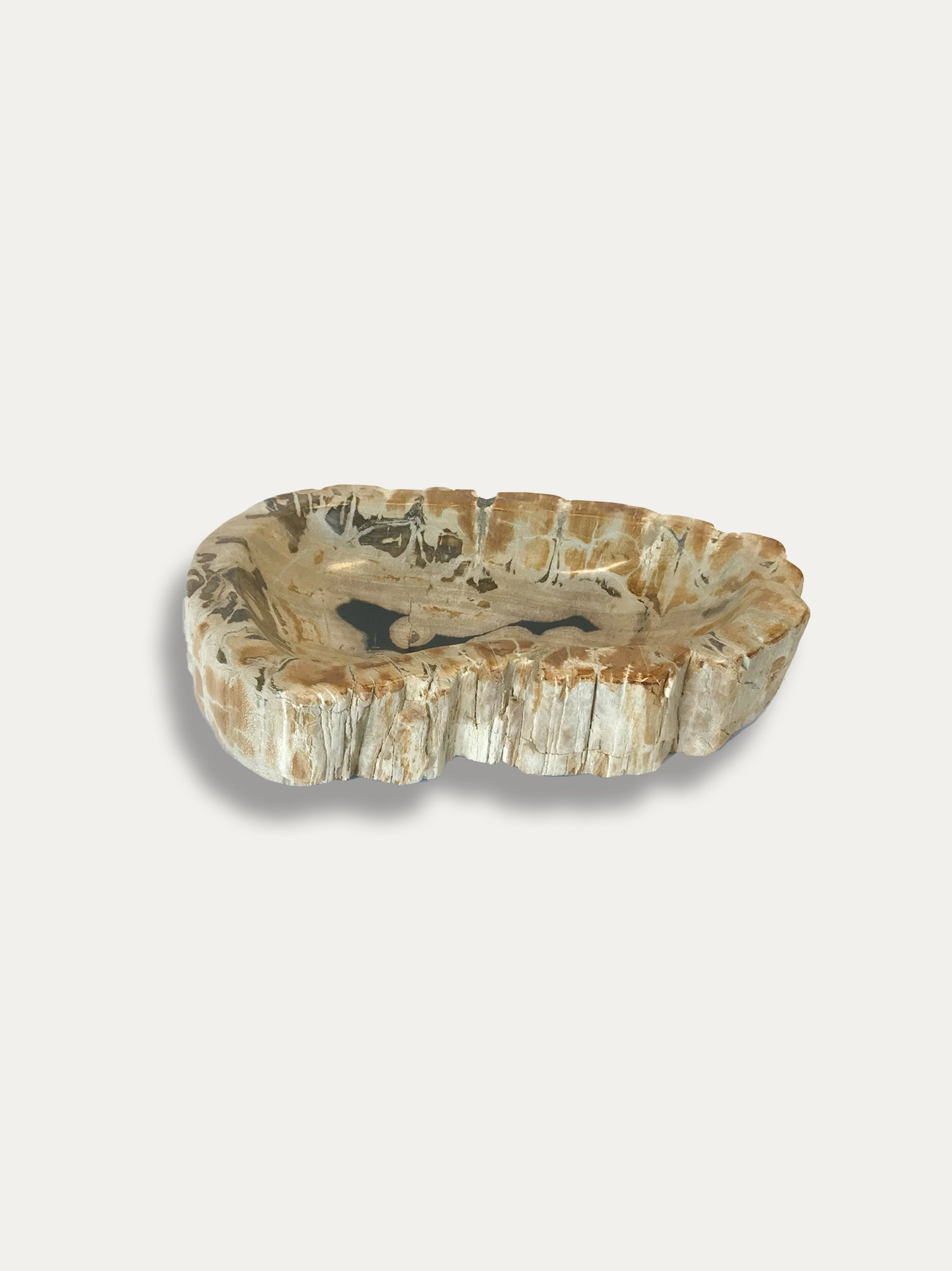 Petrified Wood Bowl - Enjoy Italy's largest collection of Petrified wood accessories!