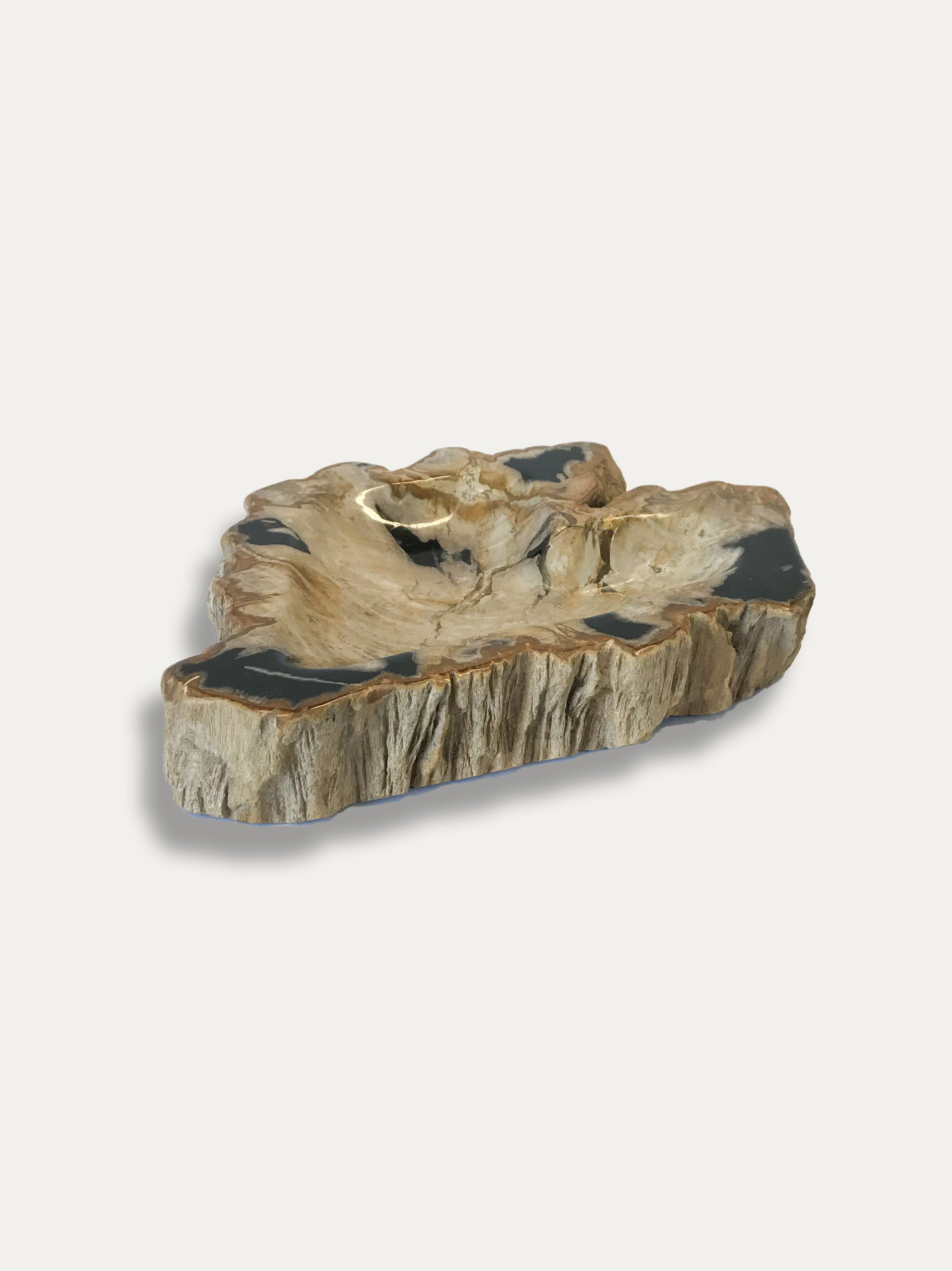 Petrified Wood Bowl - Enjoy Italy's largest collection of Petrified wood accessories!