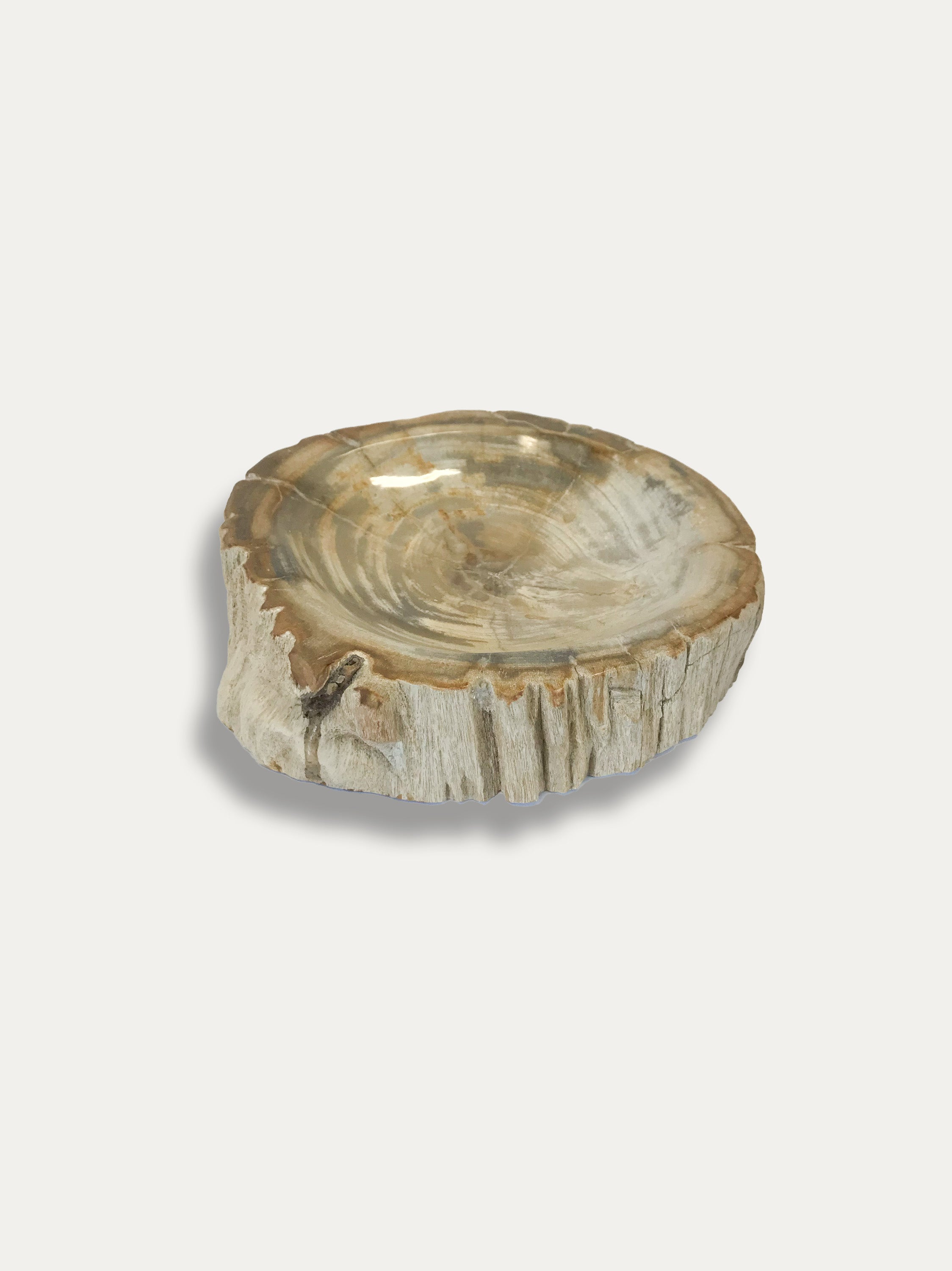 Petrified Wood Bowl - Enjoy Italy's largest collection of Petrified wood accessories!
