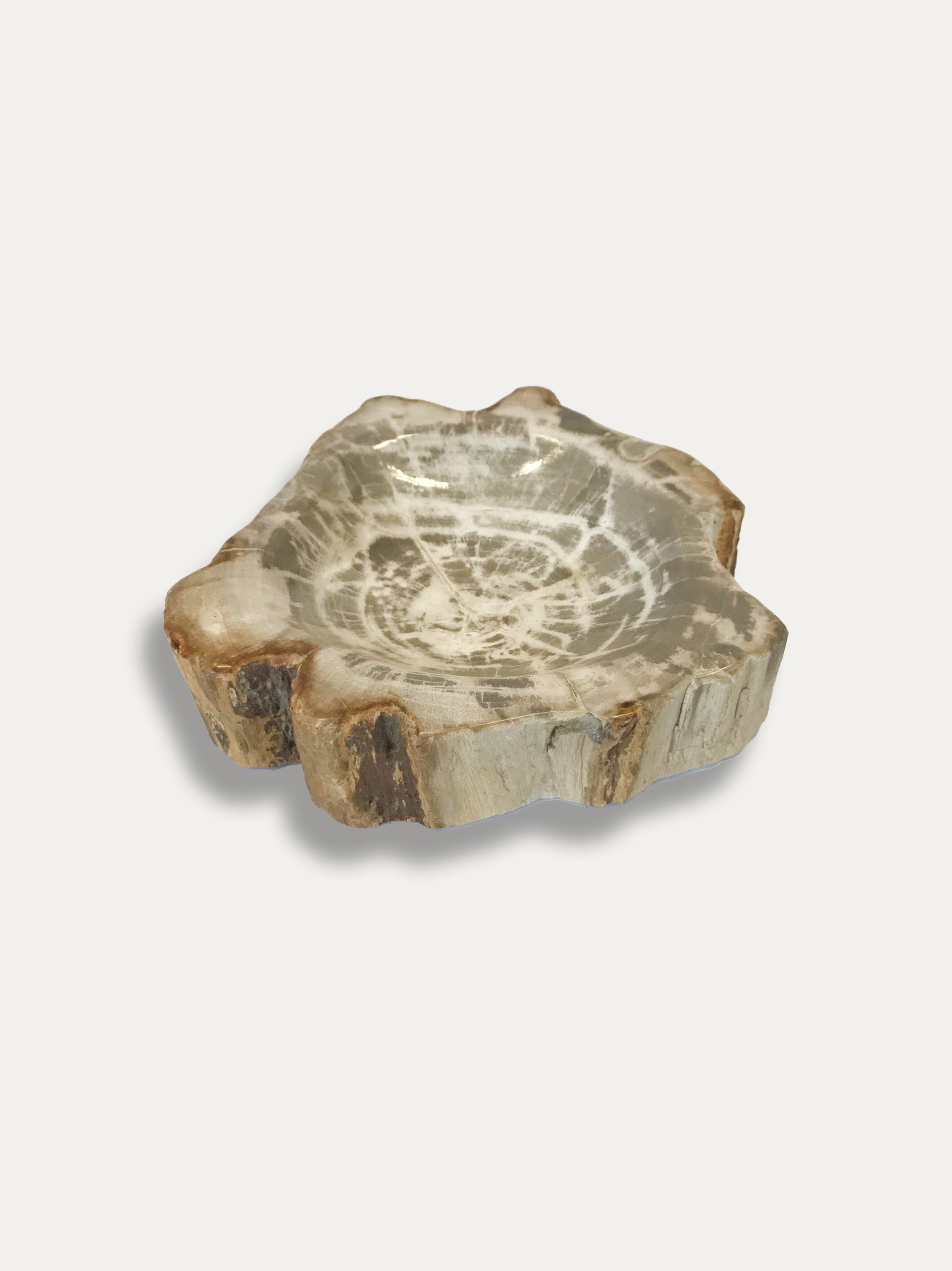 Petrified Wood Bowl - Enjoy Italy's largest collection of Petrified wood accessories!