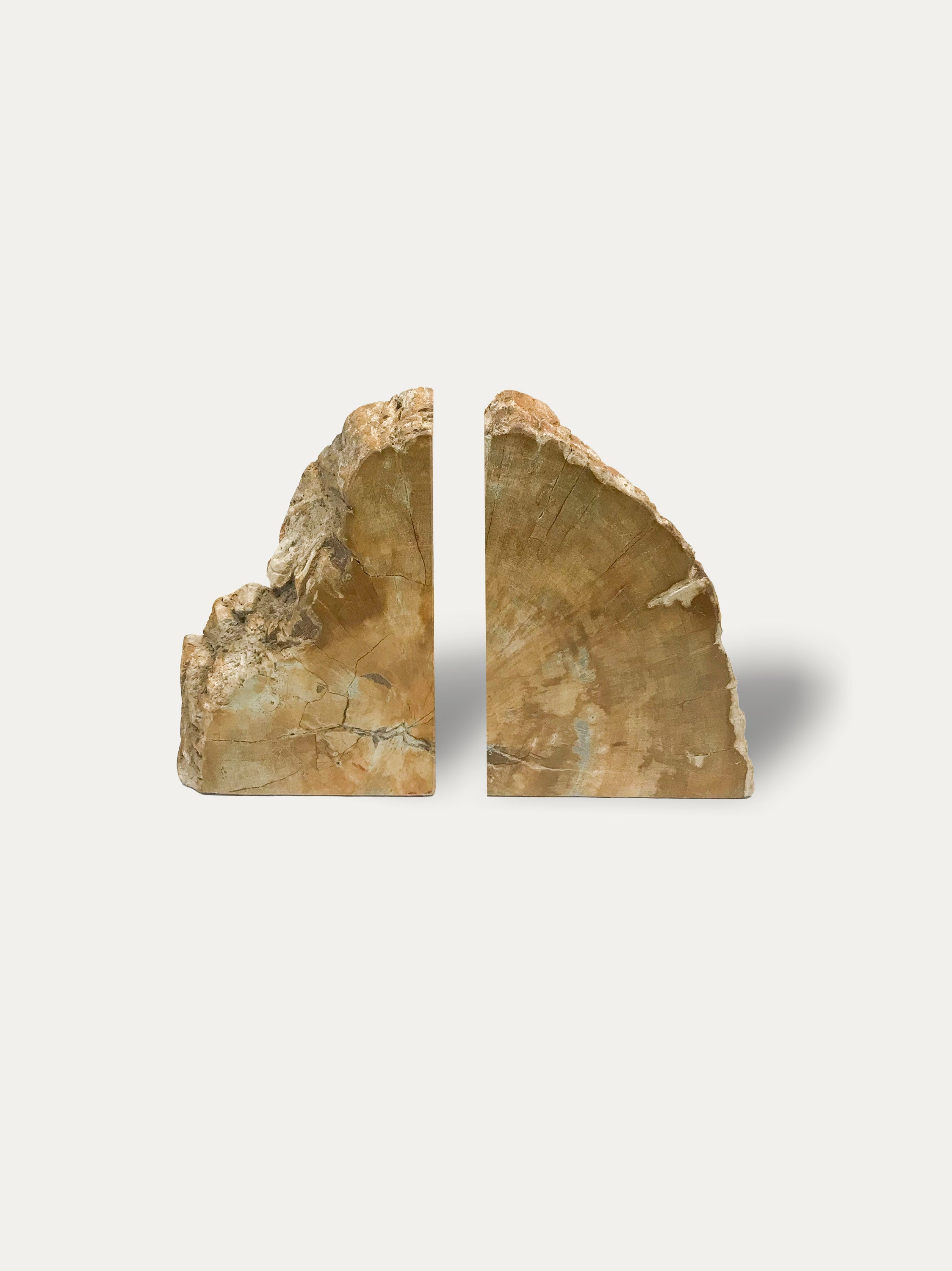 Petrified wood bookends - Asian art from Kirschon