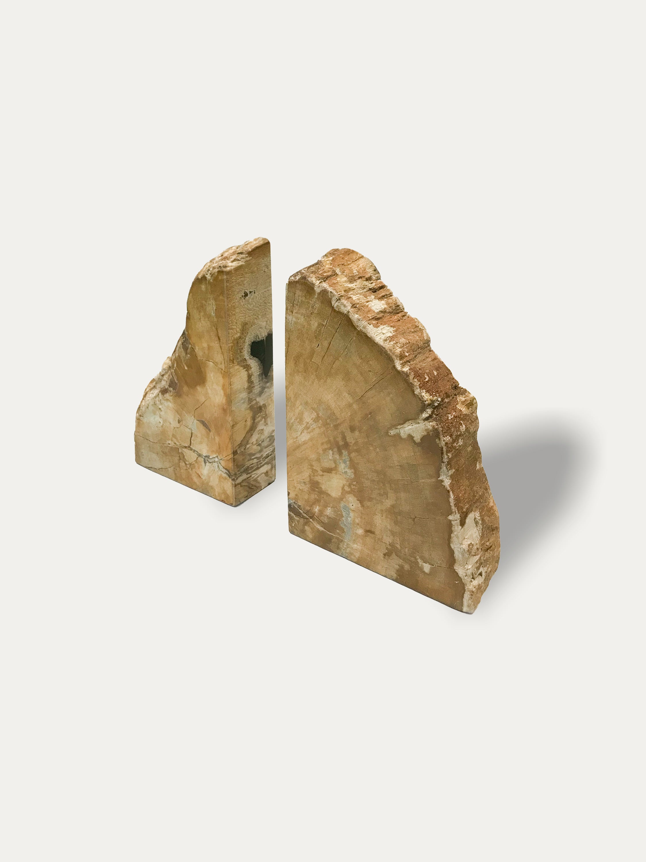 Petrified wood bookends - Asian art from Kirschon