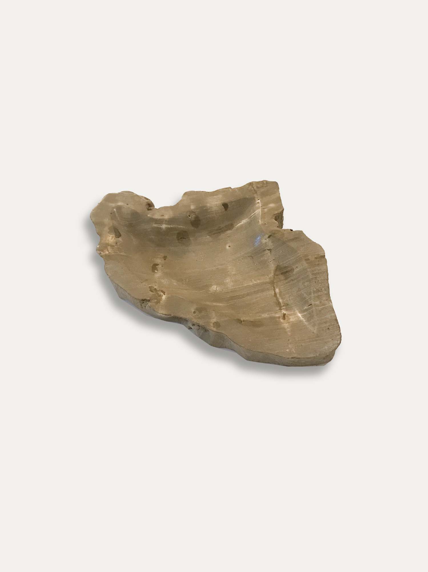 Petrified Wood Bowl  - Enjoy Italy's largest collection of Petrified wood accessories!k