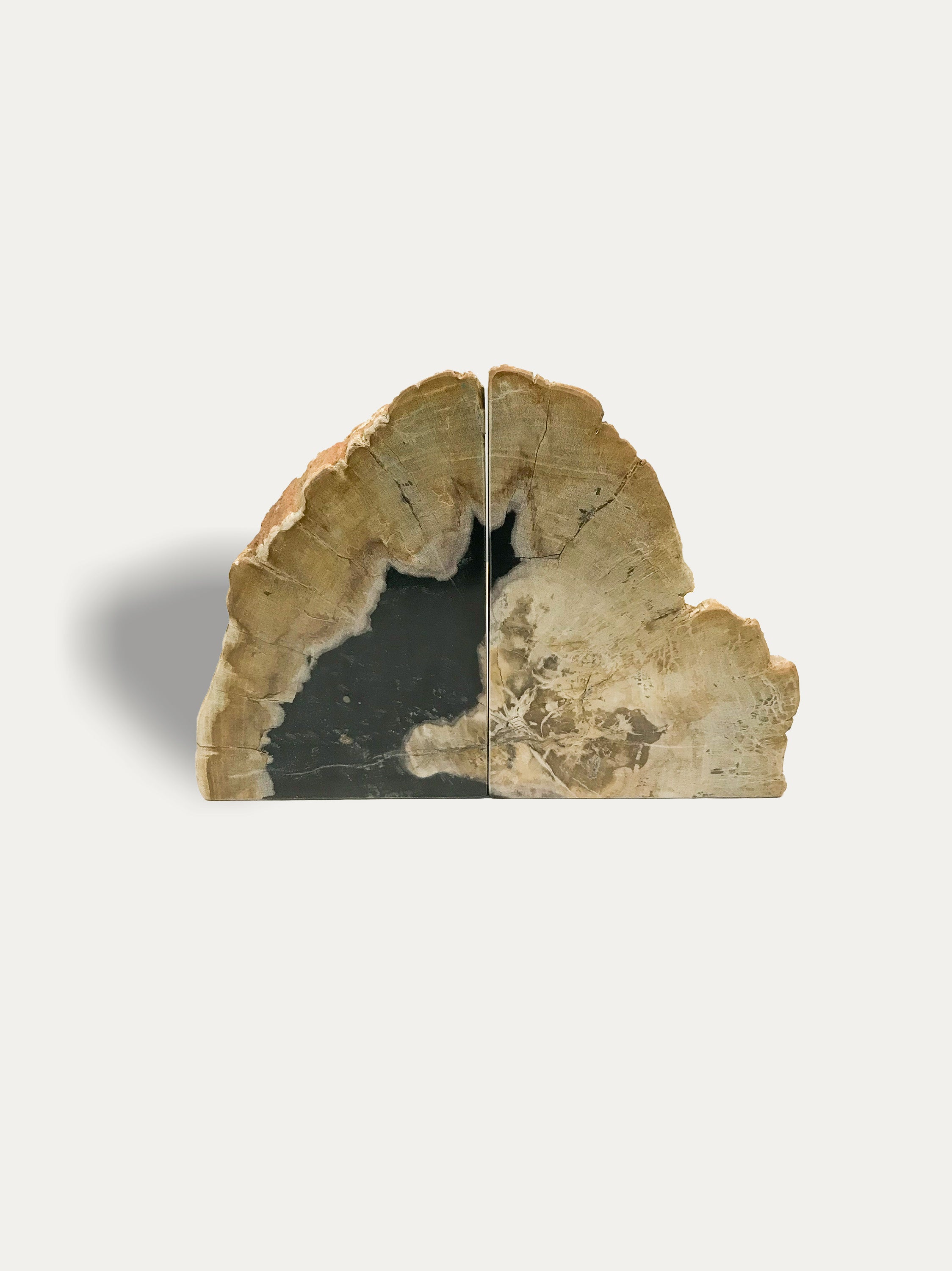 Petrified wood bookends - Asian art from Kirschon