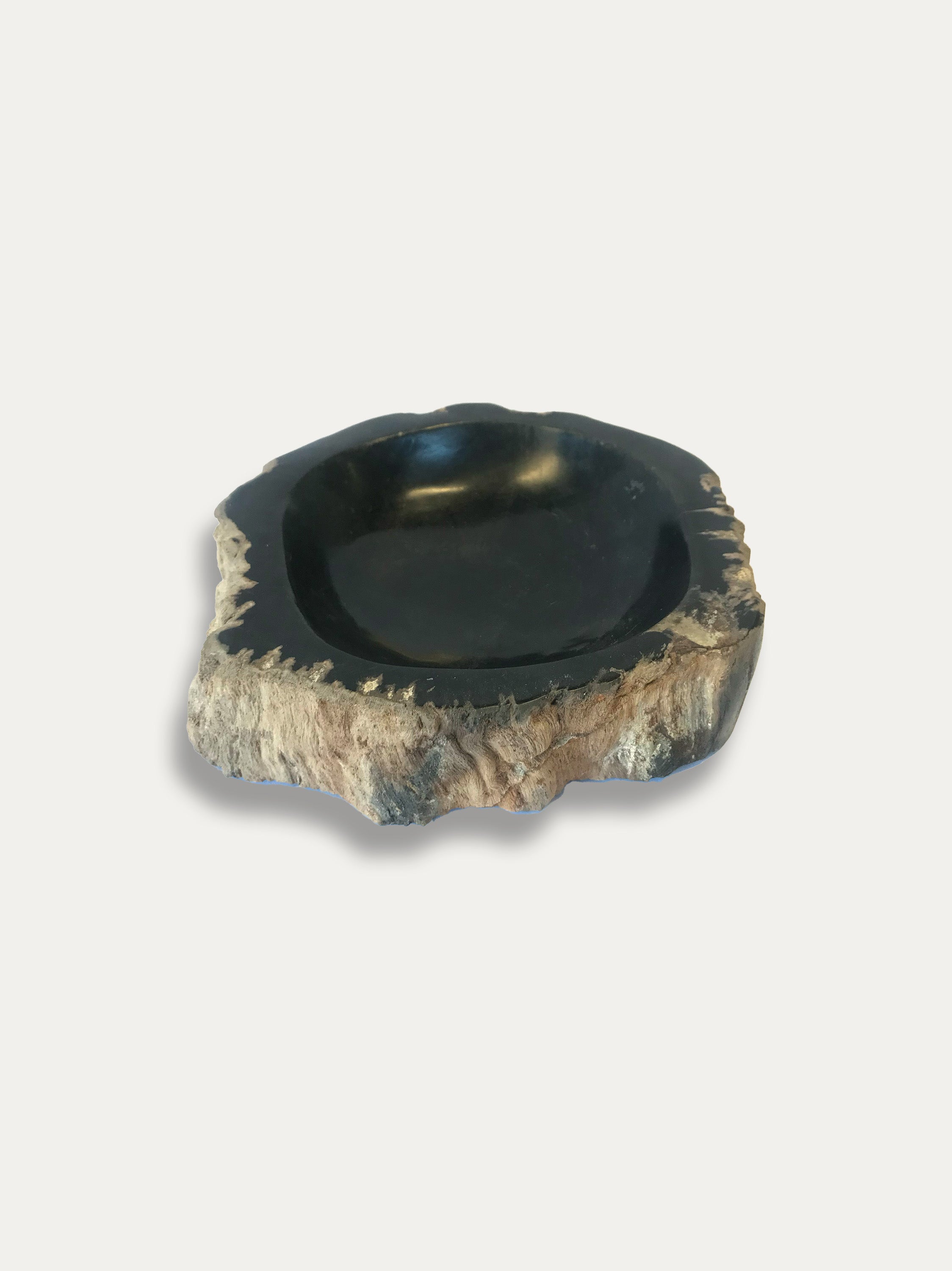 Petrified Wood Bowl - Enjoy Italy's largest collection of Petrified wood accessories!