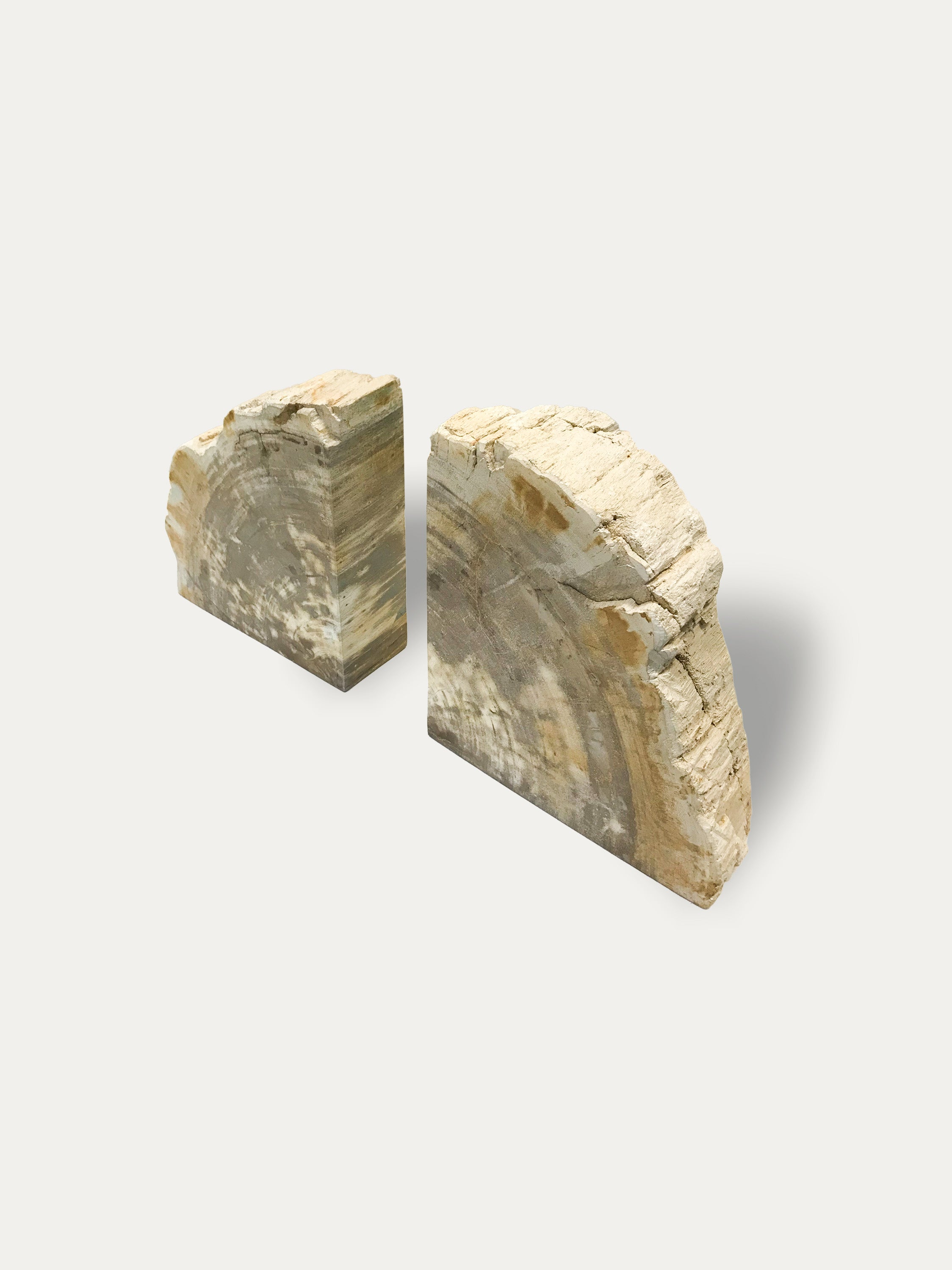 Petrified wood bookends - Asian art from Kirschon