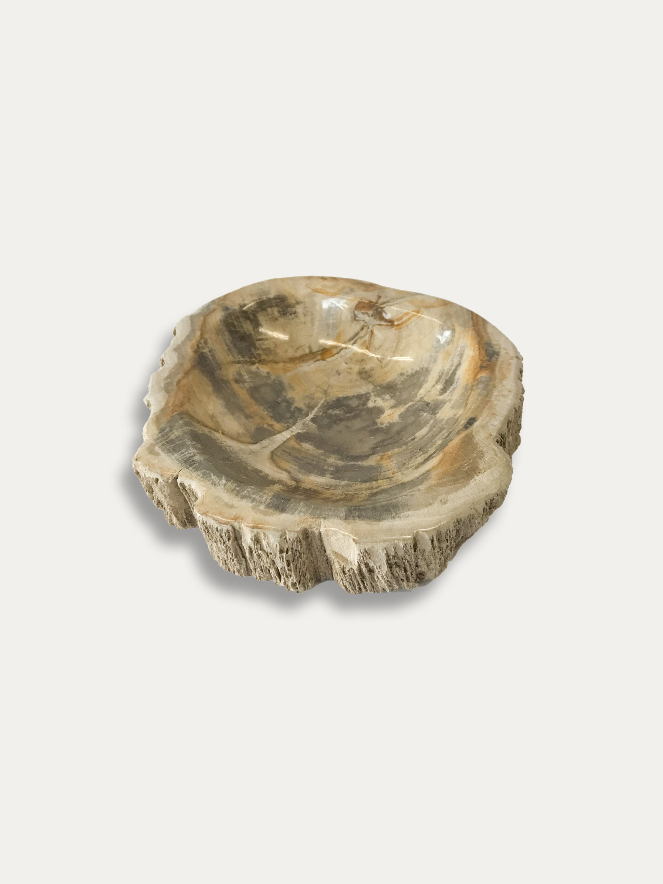 Petrified Wood Bowl - Enjoy Italy's largest collection of Petrified wood accessories!