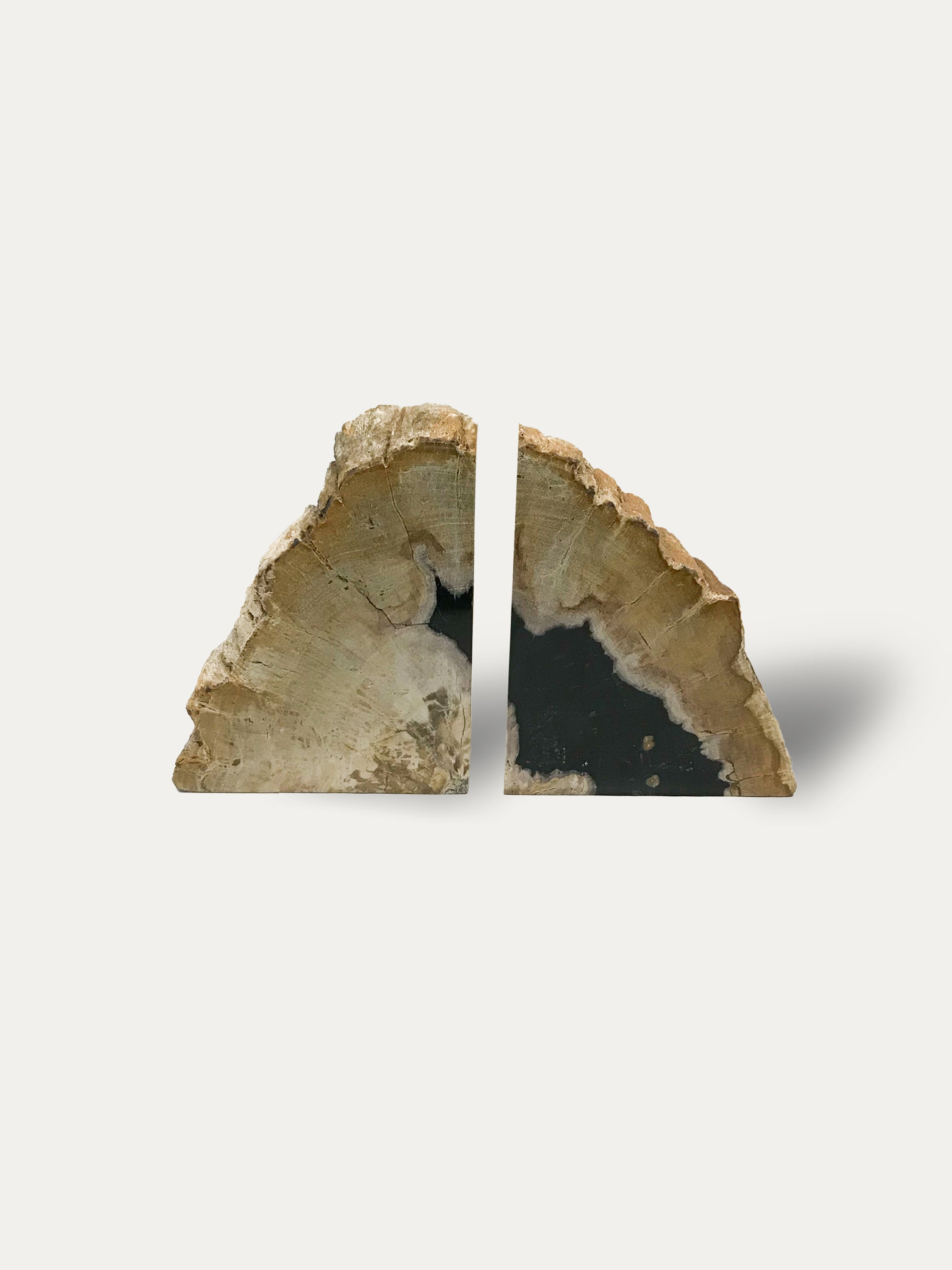 Petrified wood bookends - Asian art from Kirschon