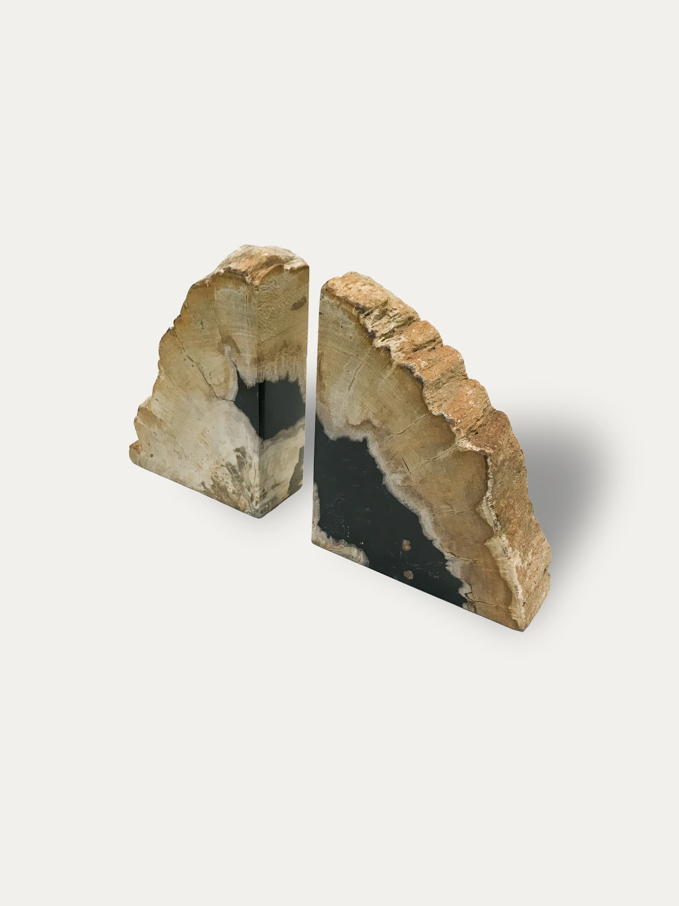 Petrified wood bookends - Asian art from Kirschon