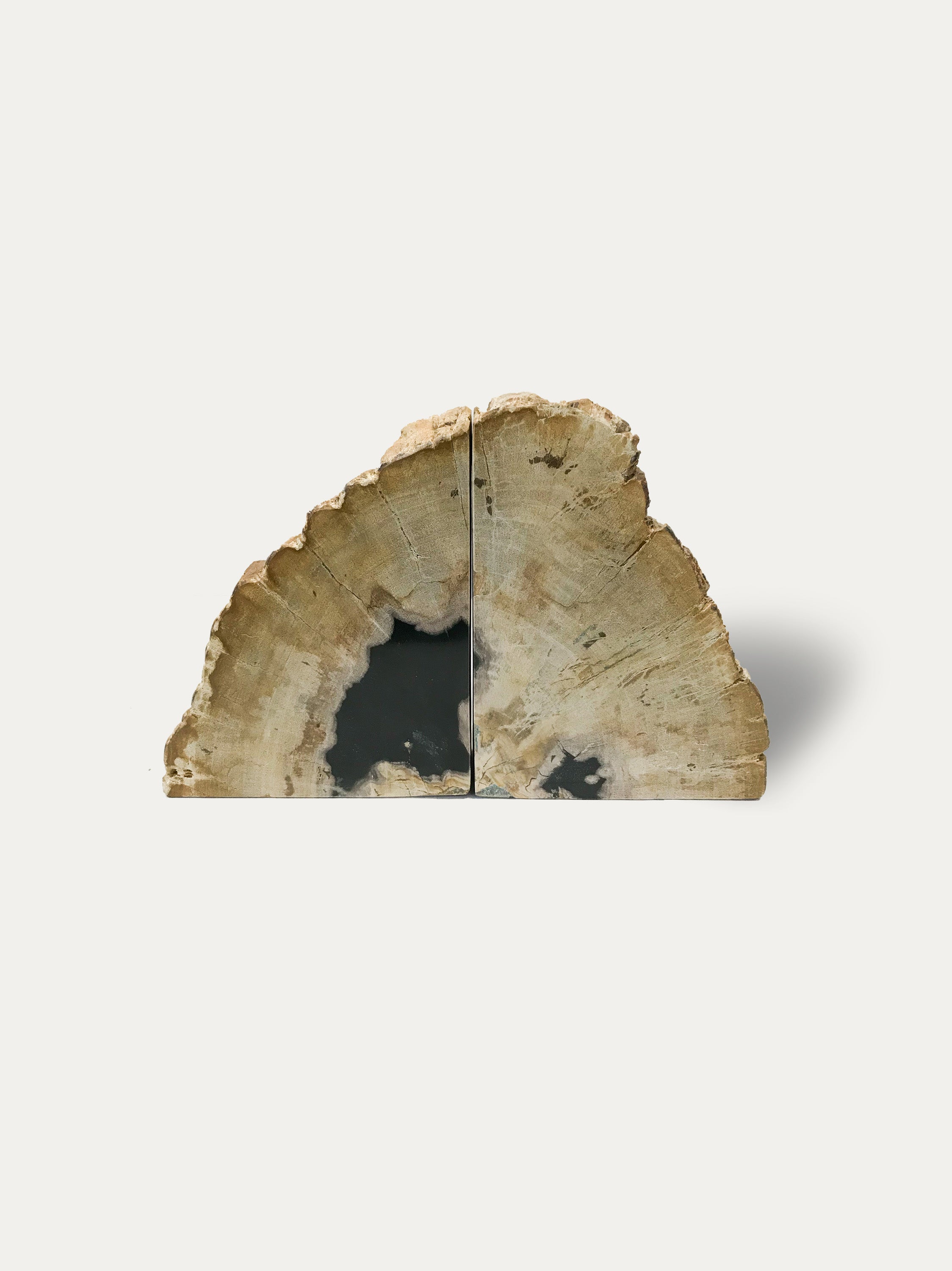 Petrified wood bookends - Asian art from Kirschon