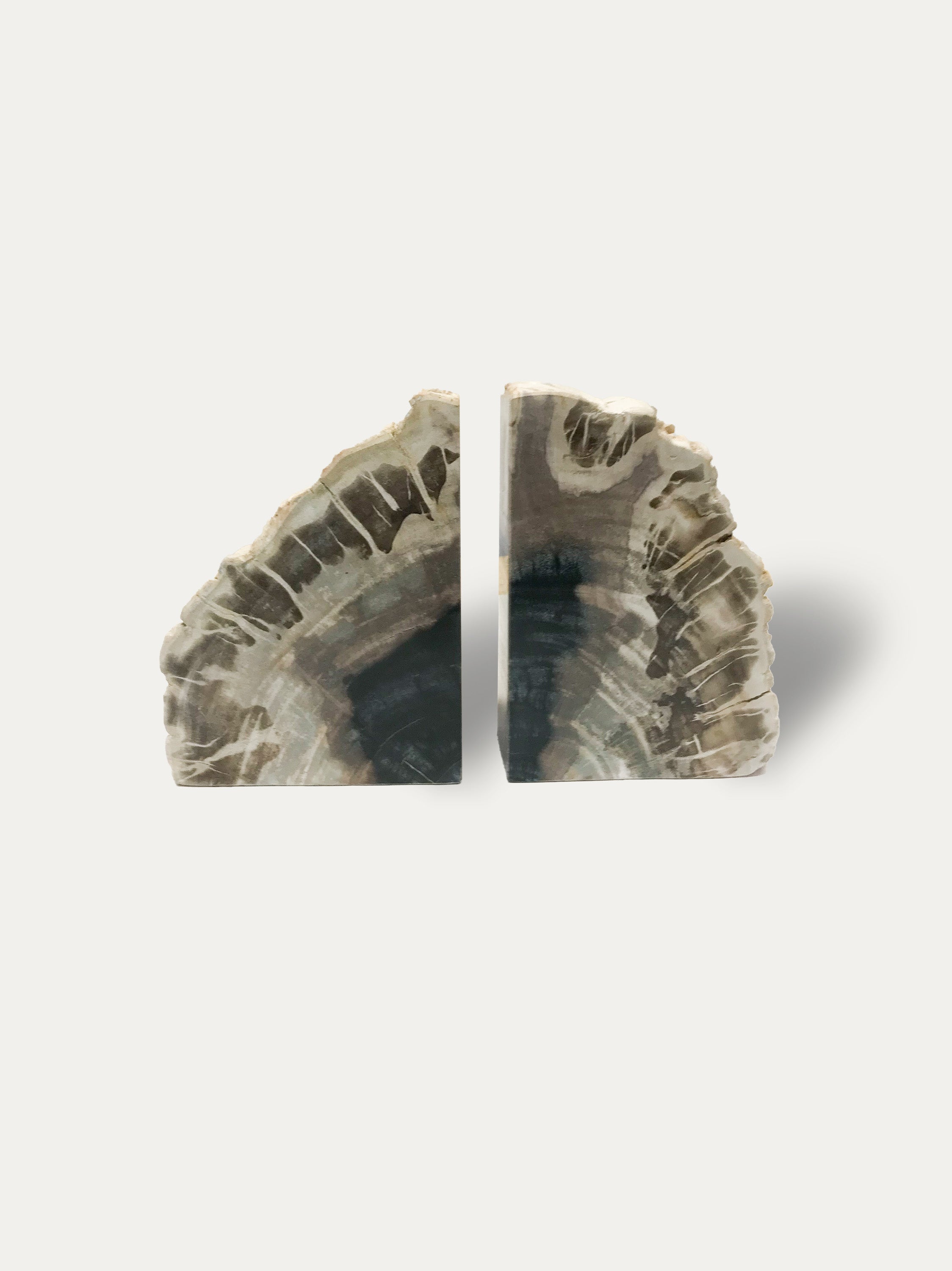 Petrified wood bookends - Asian art from Kirschon