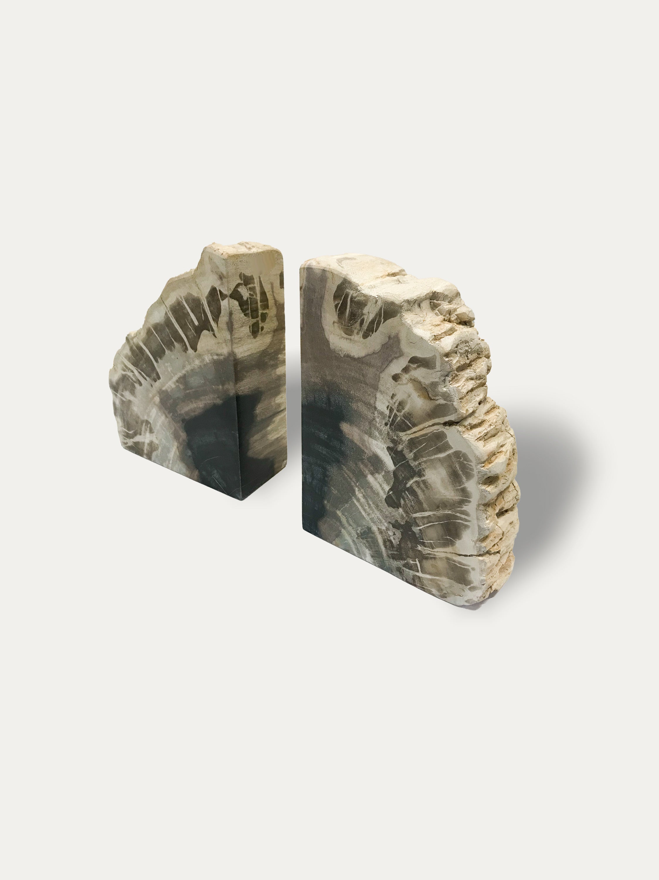 Petrified wood bookends - Asian art from Kirschon