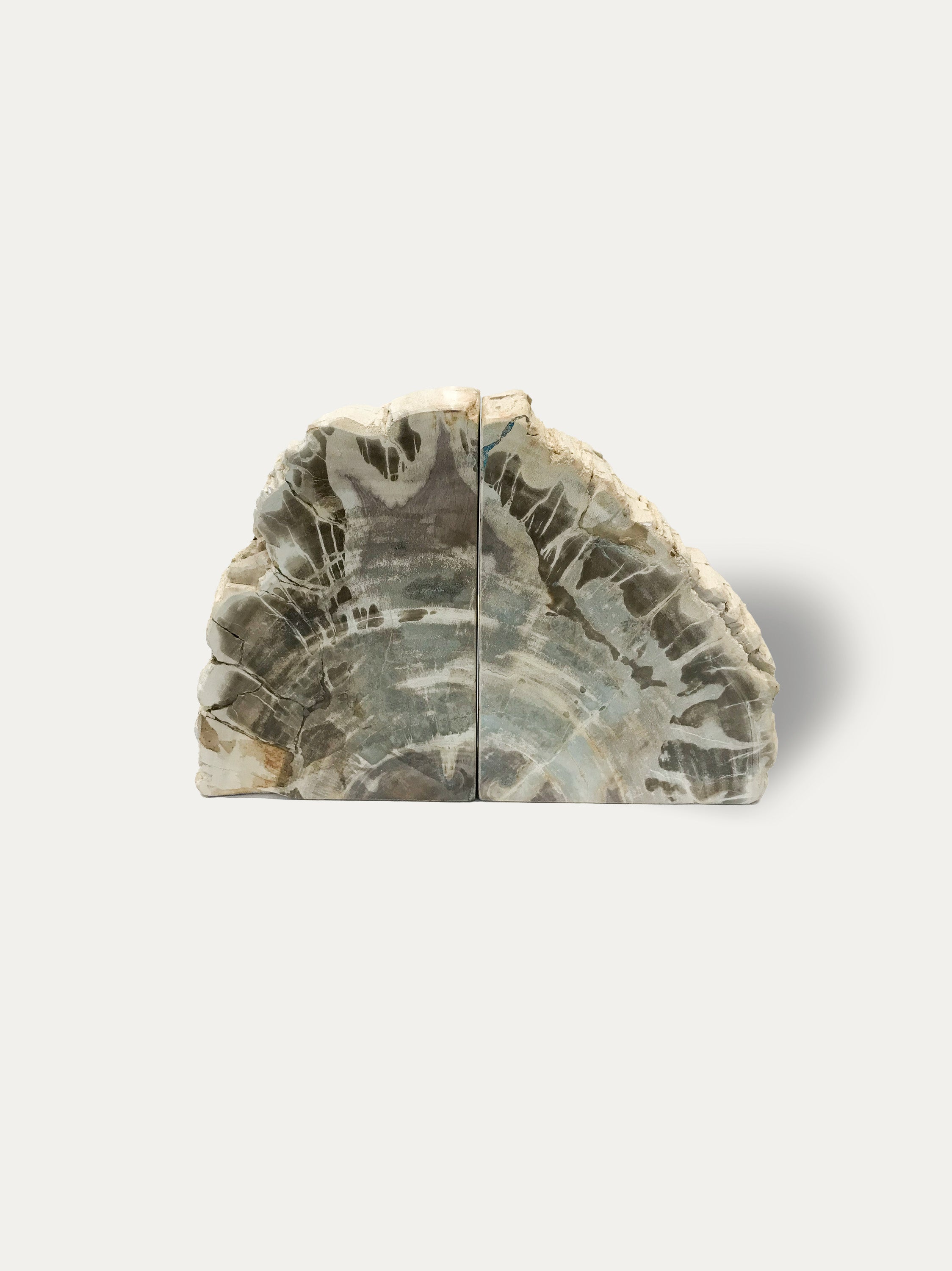 Petrified wood bookends - Asian art from Kirschon