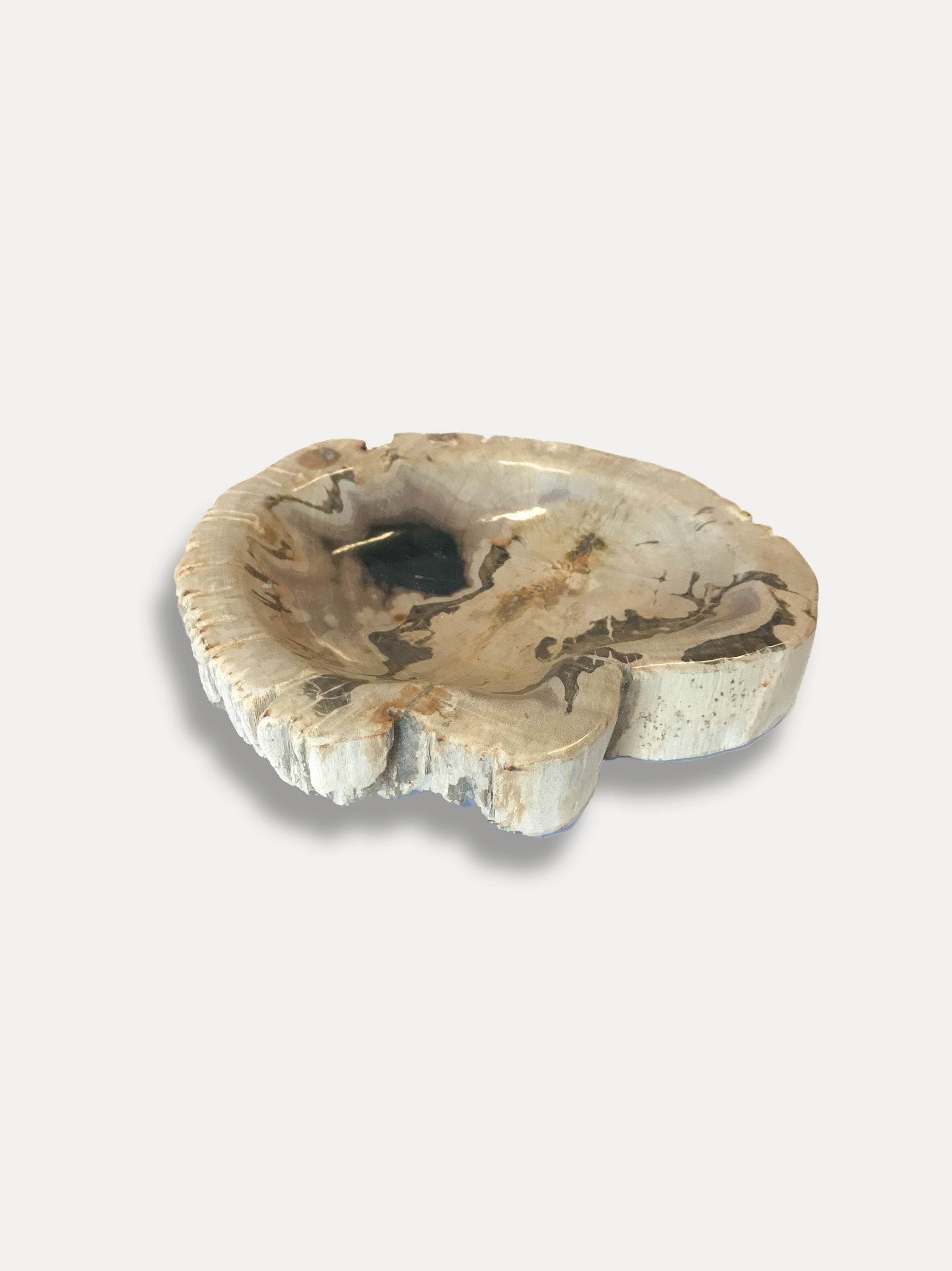 Petrified Wood Bowl - Enjoy Italy's largest collection of Petrified wood accessories!