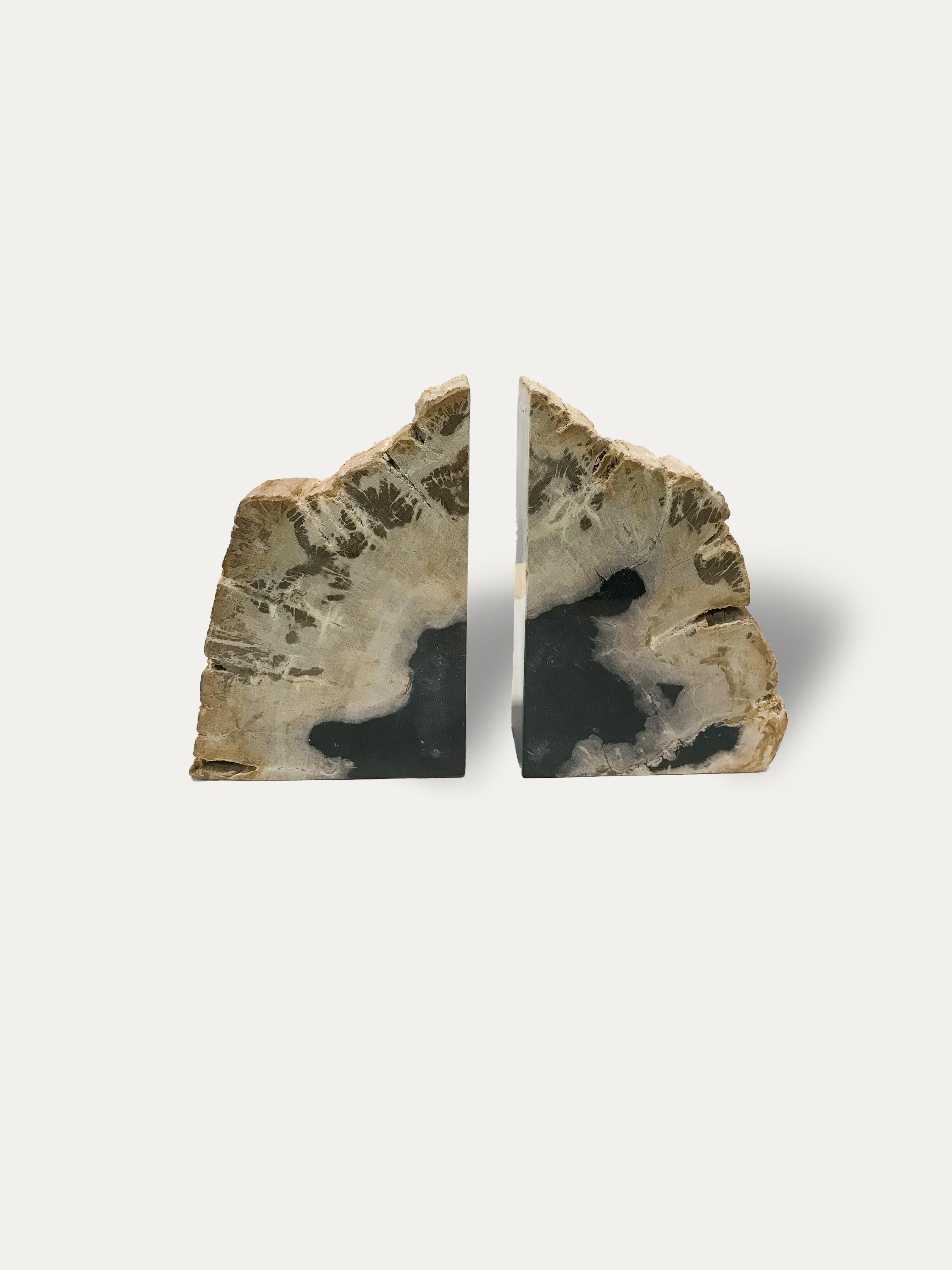 Petrified wood bookends - Asian art from Kirschon