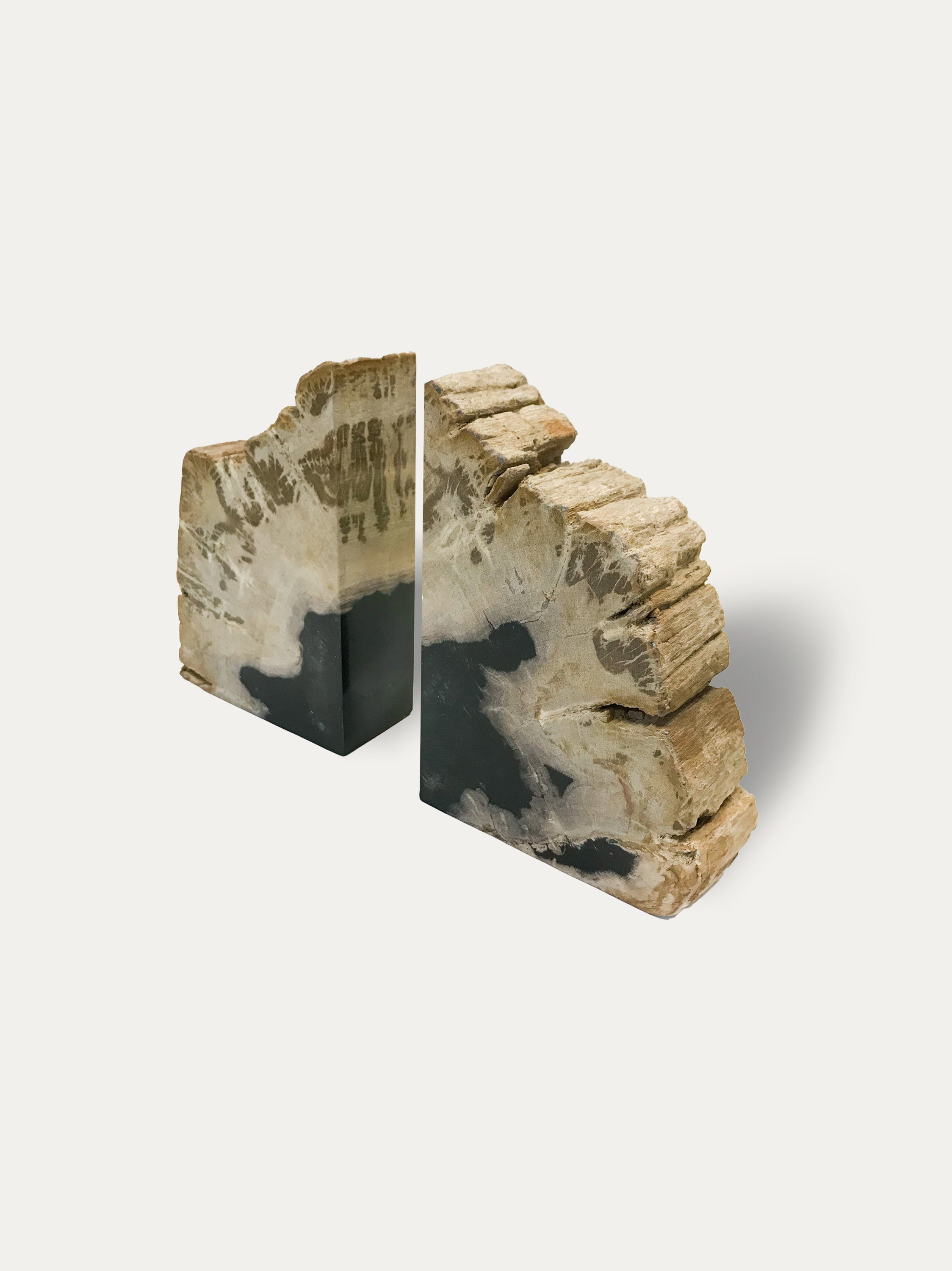 Petrified wood bookends - Asian art from Kirschon