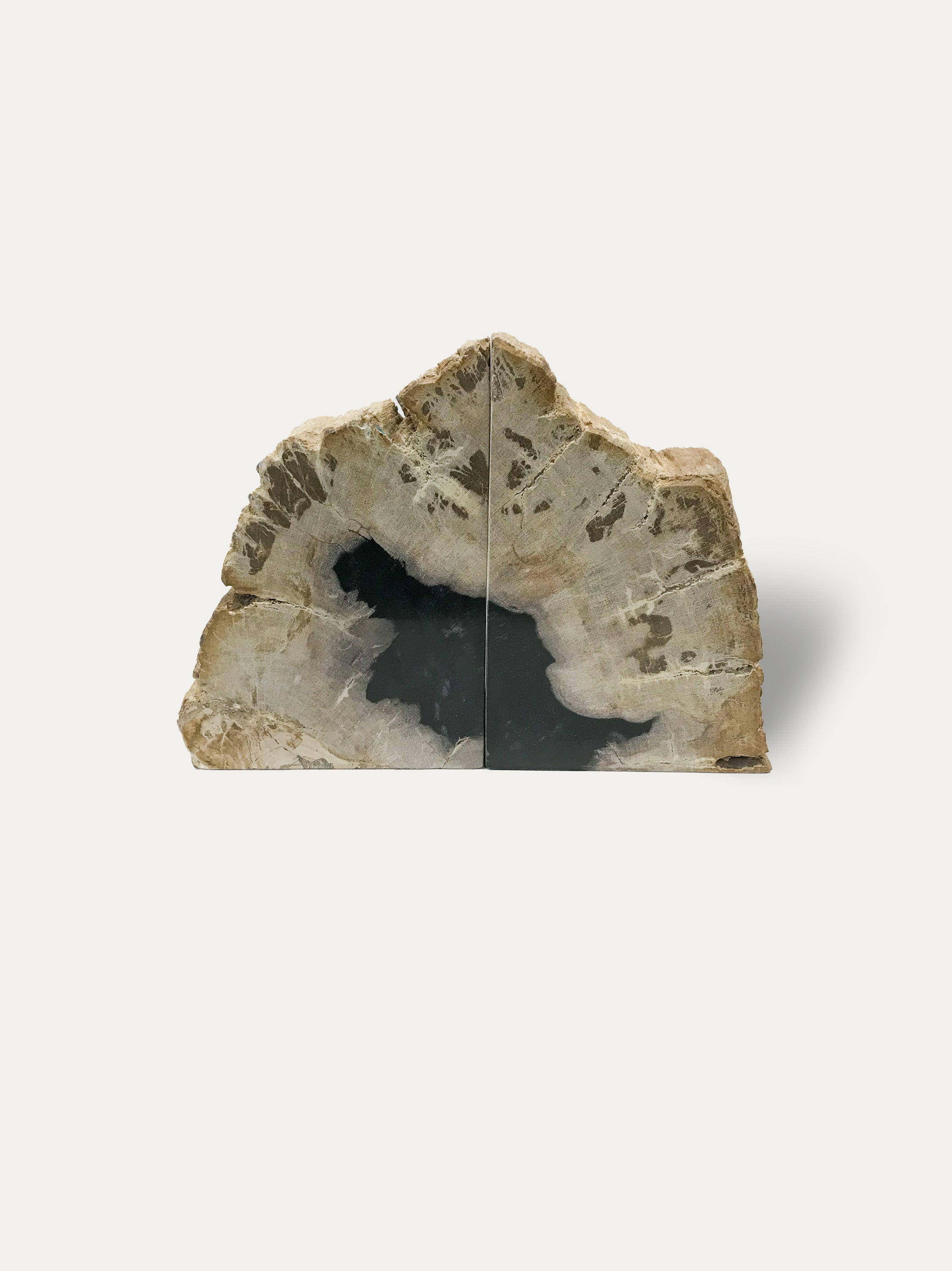 Petrified wood bookends - Asian art from Kirschon