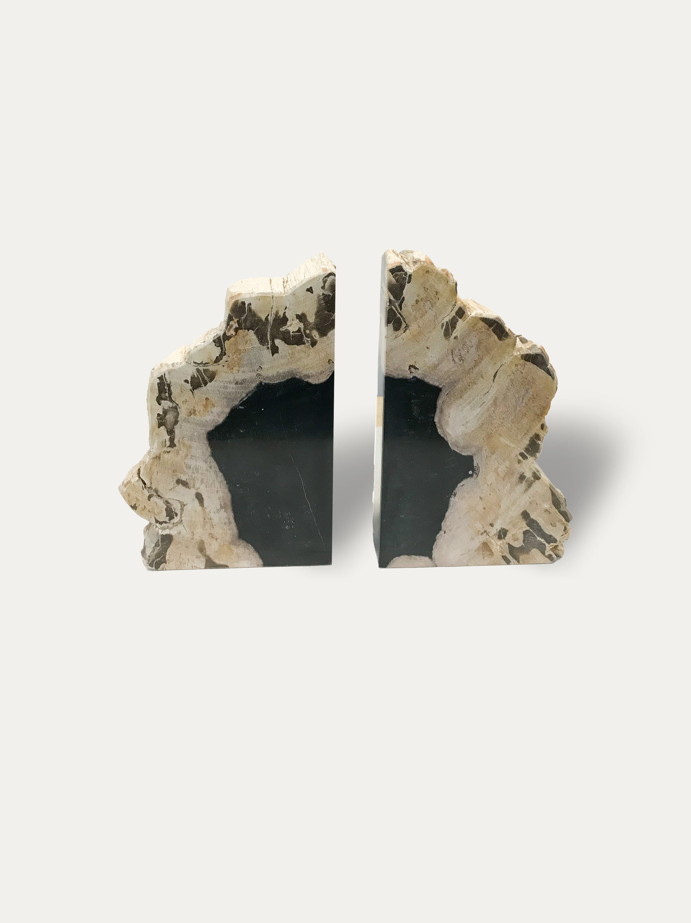 Petrified wood bookends - Asian art from Kirschon