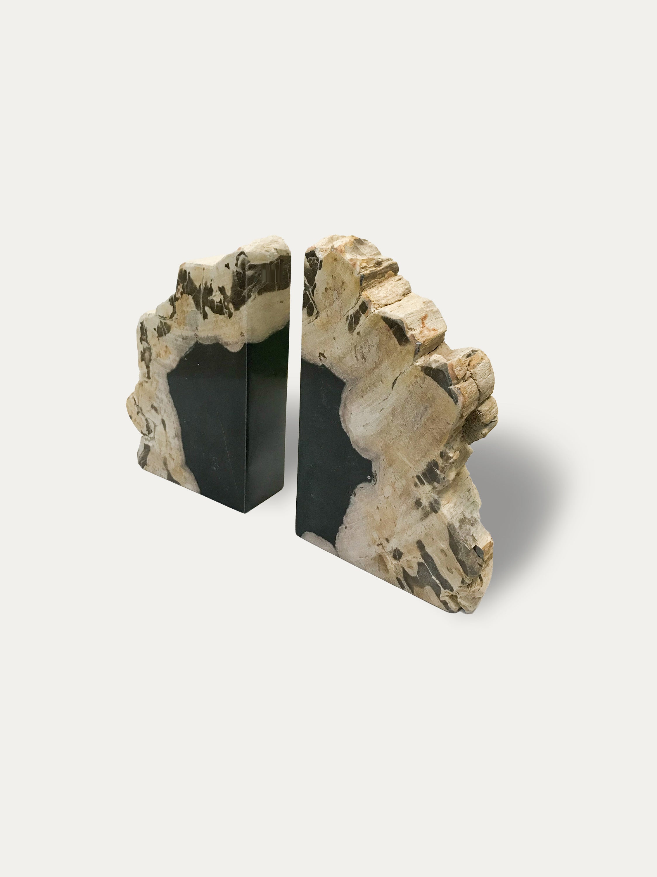 Petrified wood bookends - Asian art from Kirschon