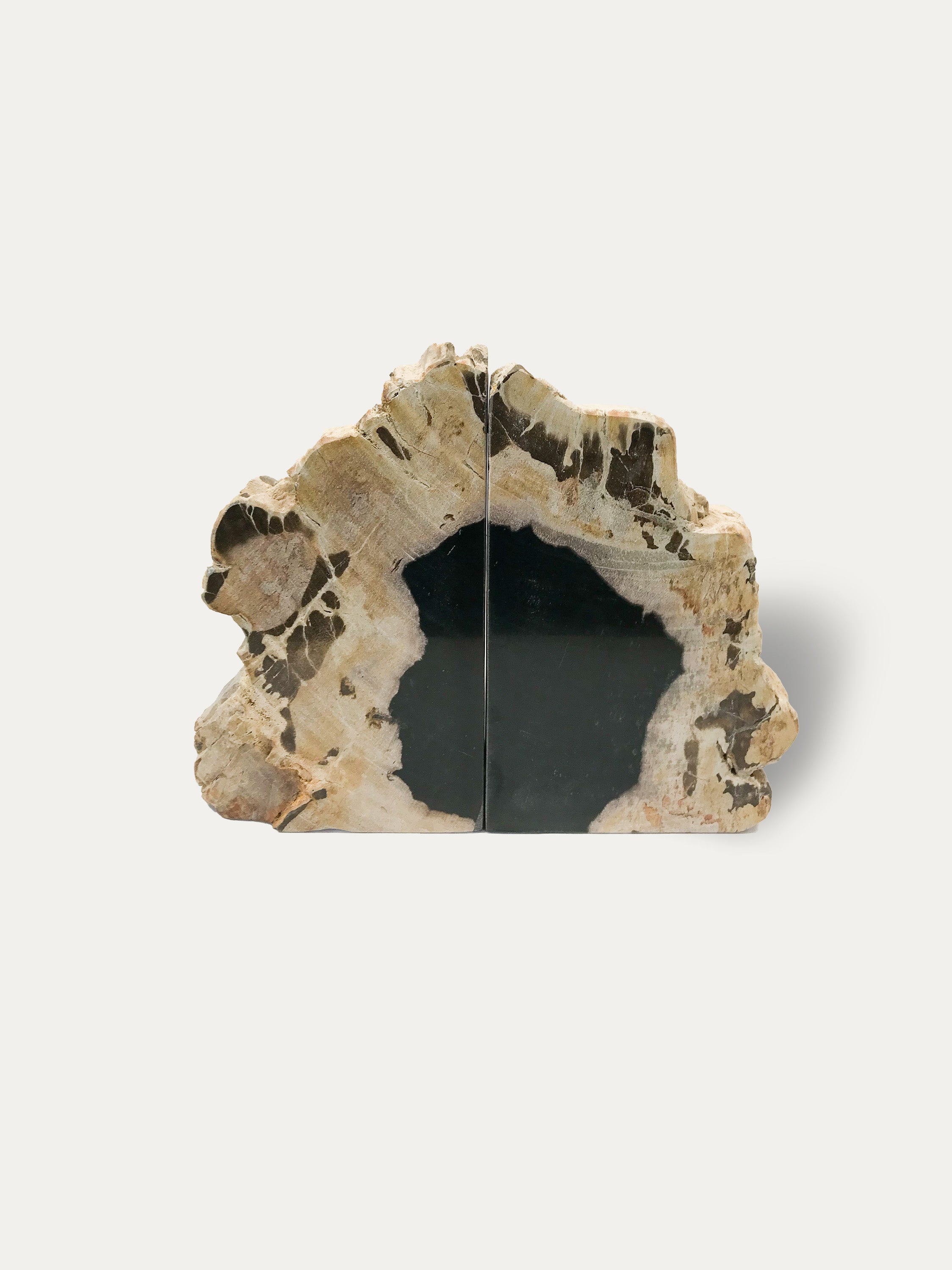 Petrified wood bookends - Asian art from Kirschon