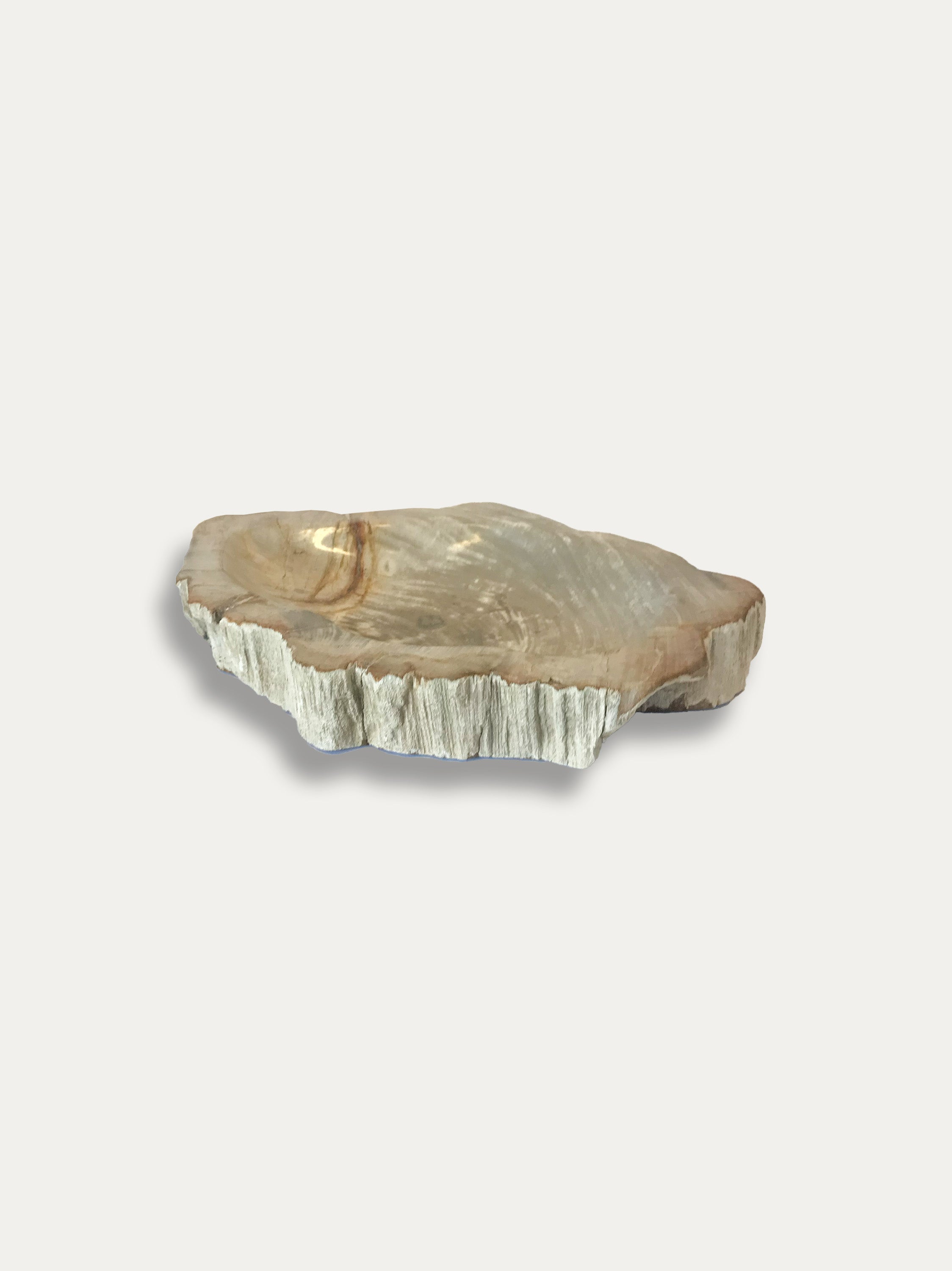 Petrified Wood Bowl - Enjoy Italy's largest collection of Petrified wood accessories!