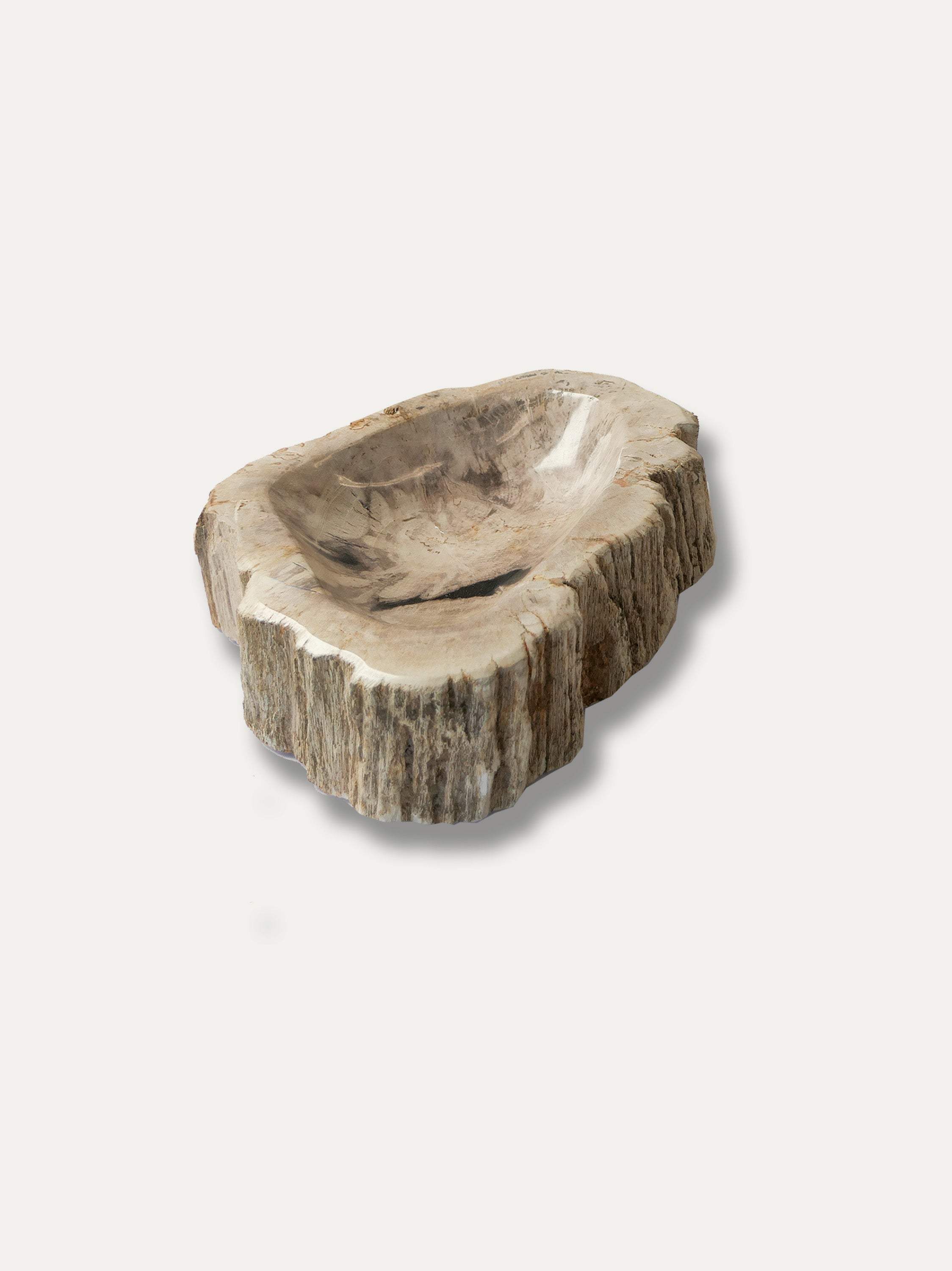 Petrified Wood Bowl - Enjoy Italy's largest collection of Petrified wood accessories!