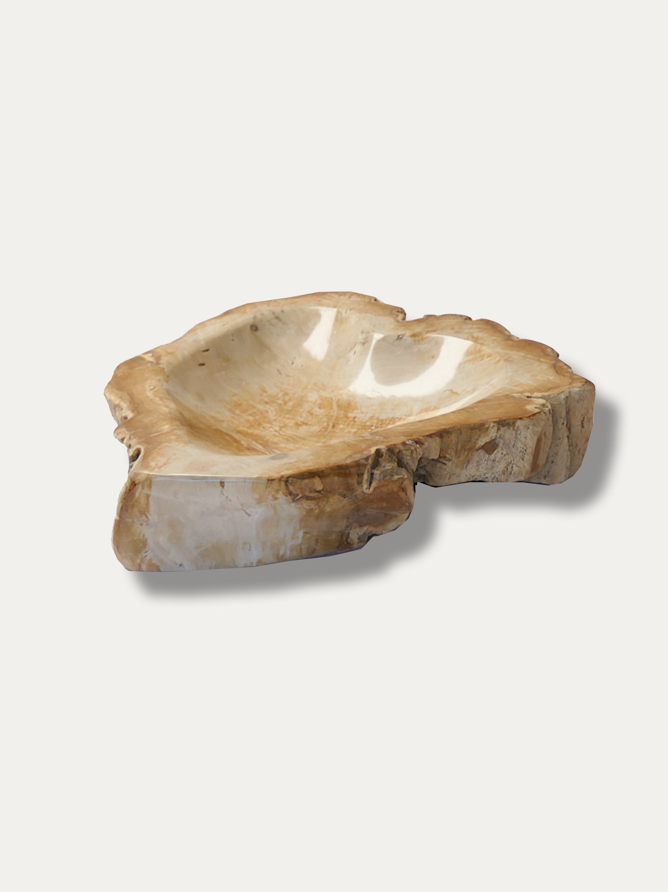 Petrified Wood Bowl - Enjoy Italy's largest collection of Petrified wood accessories!
