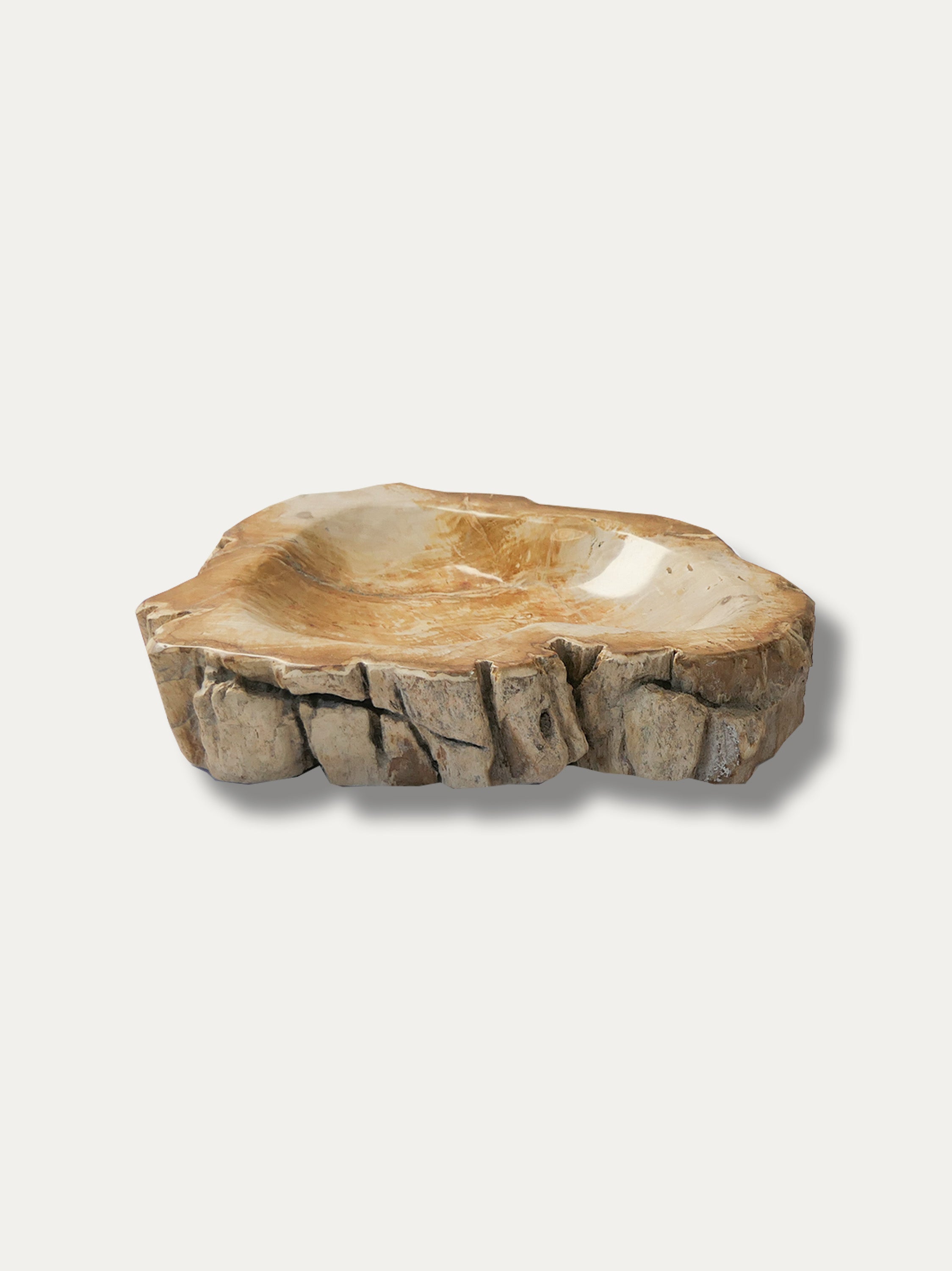 Petrified Wood Bowl - Enjoy Italy's largest collection of Petrified wood accessories!