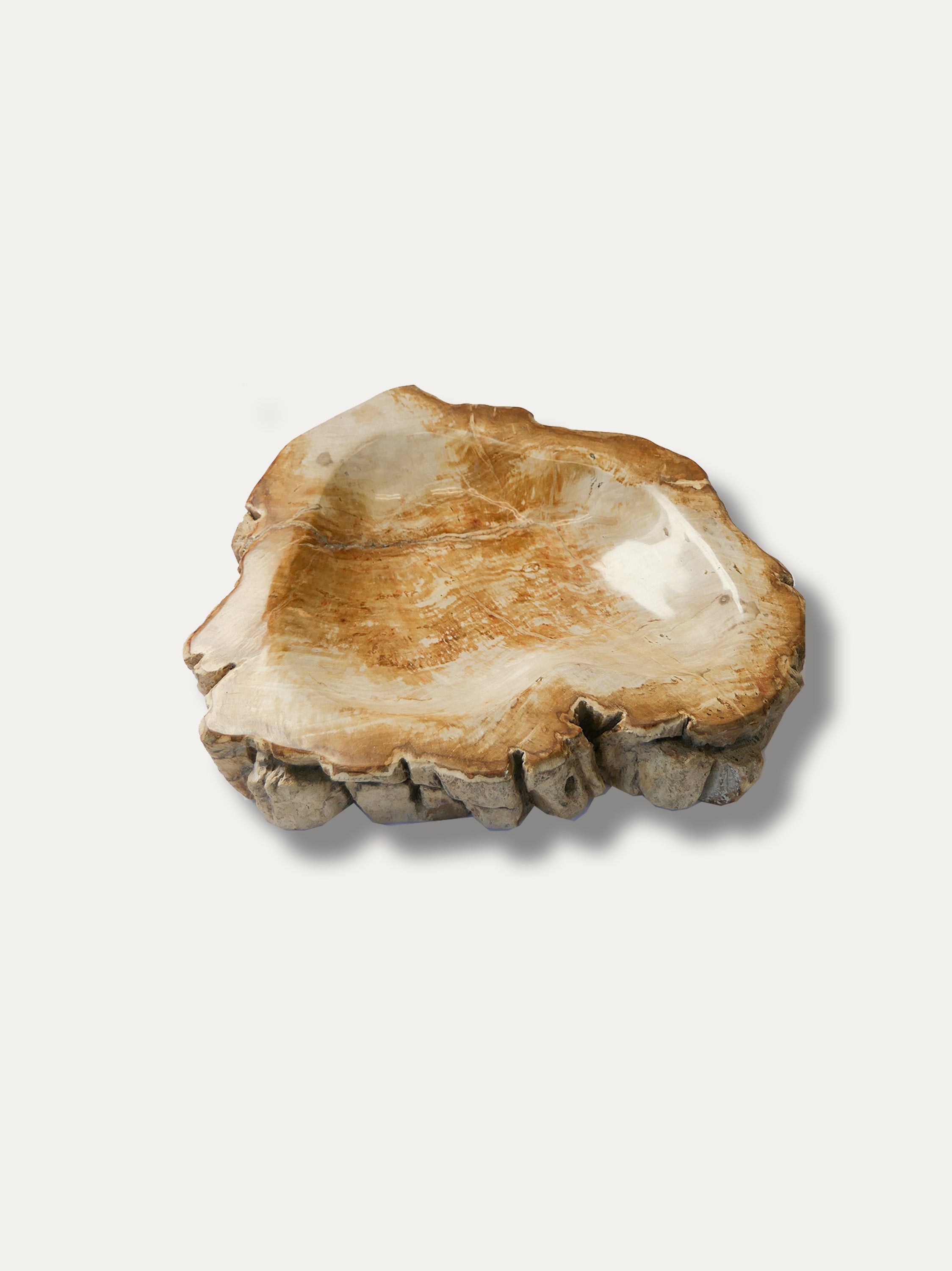 Petrified Wood Bowl - Enjoy Italy's largest collection of Petrified wood accessories!