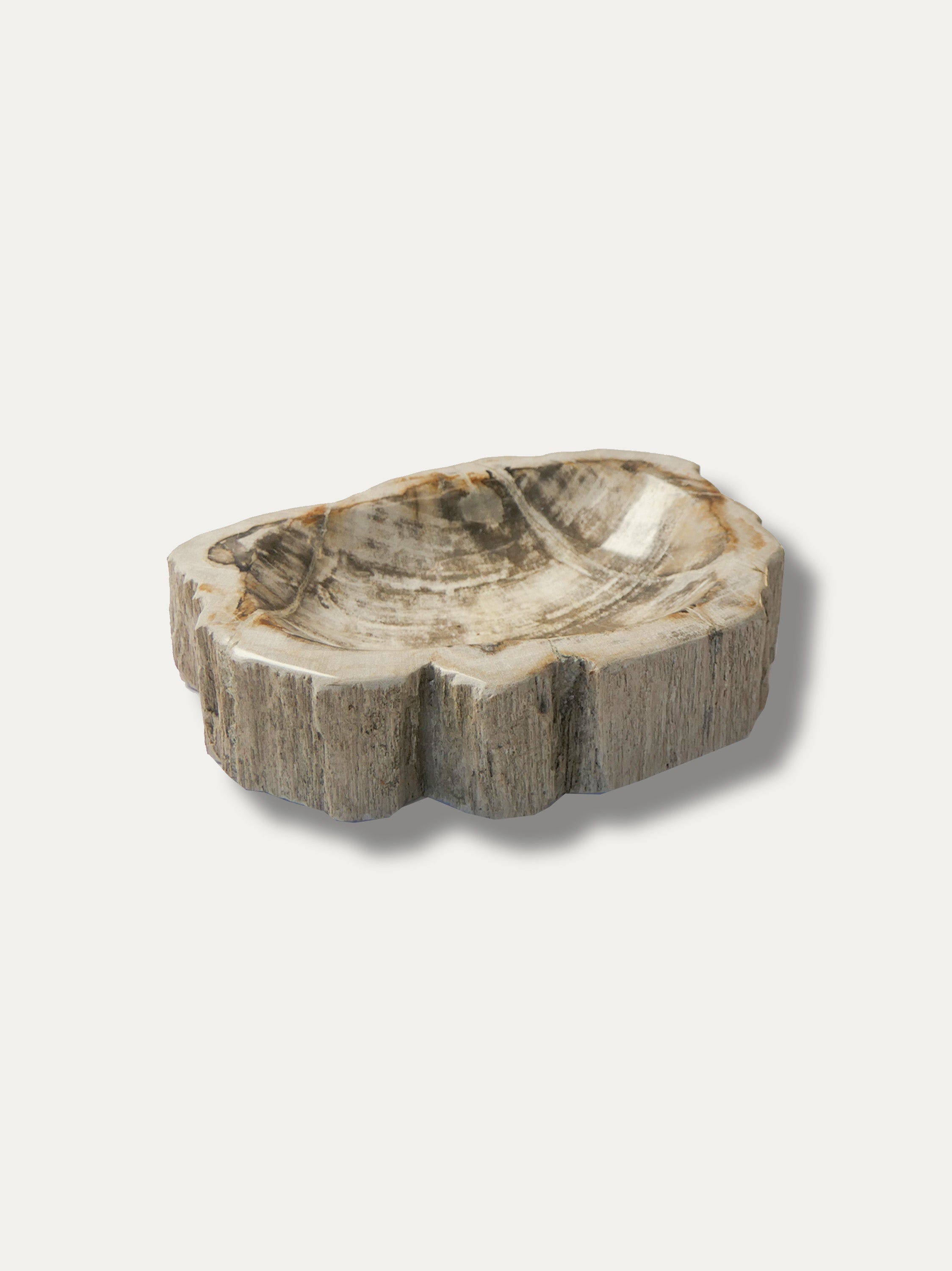 Petrified Wood Bowl - Enjoy Italy's largest collection of Petrified wood accessories!