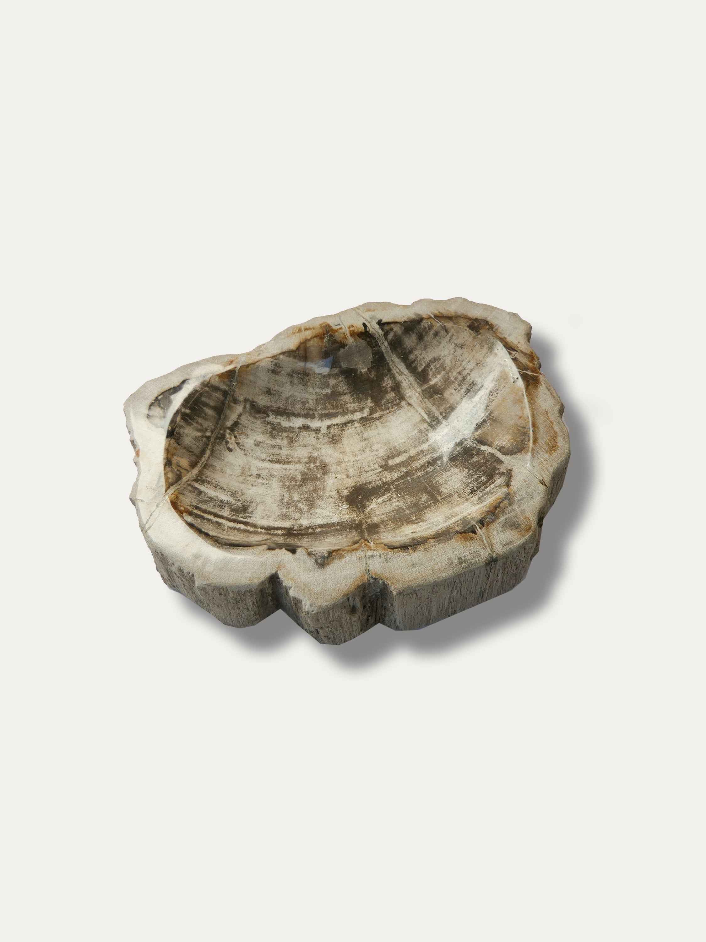 Petrified Wood Bowl - Enjoy Italy's largest collection of Petrified wood accessories!