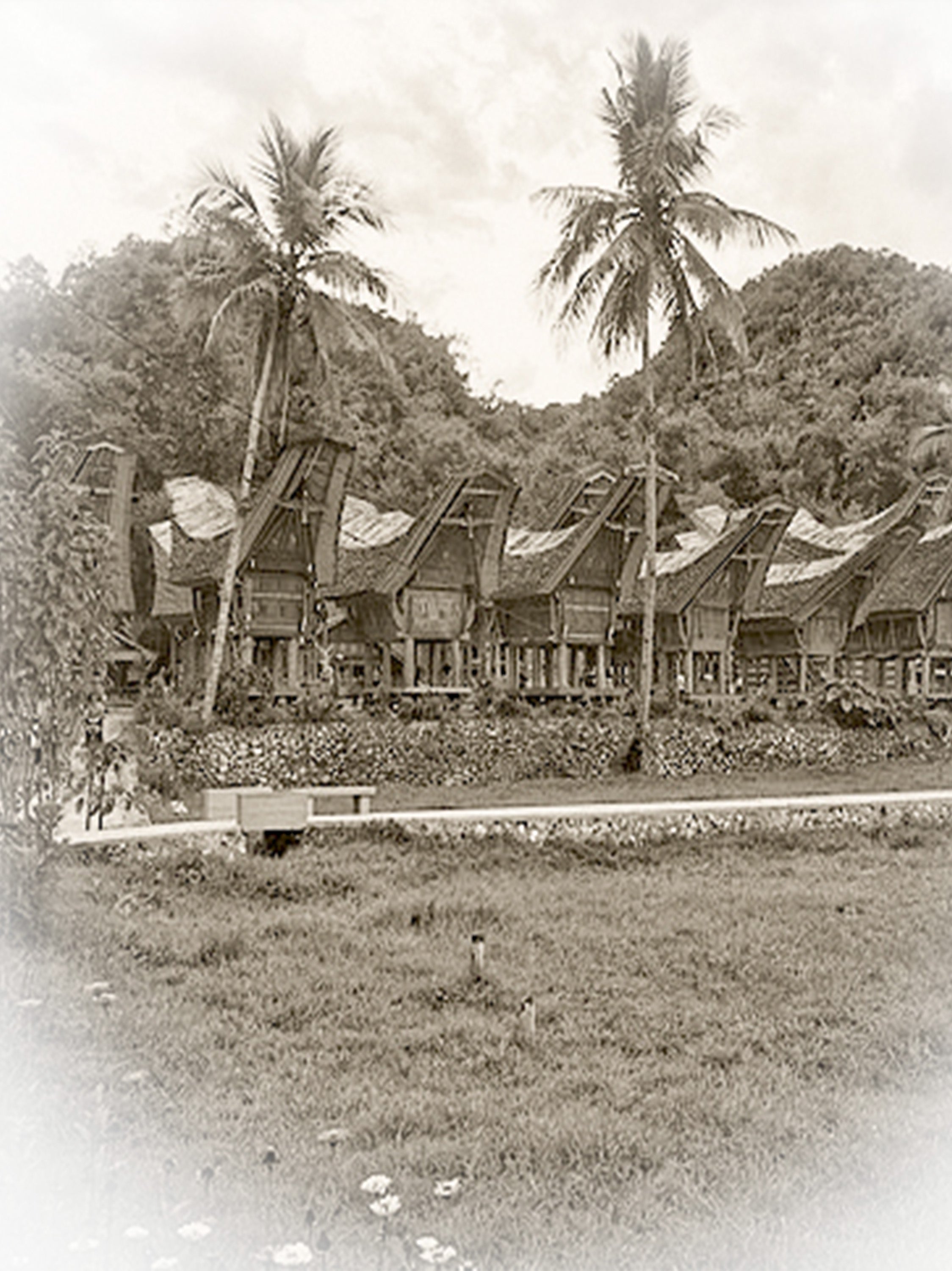 Vintage Wood Panel From Toraja