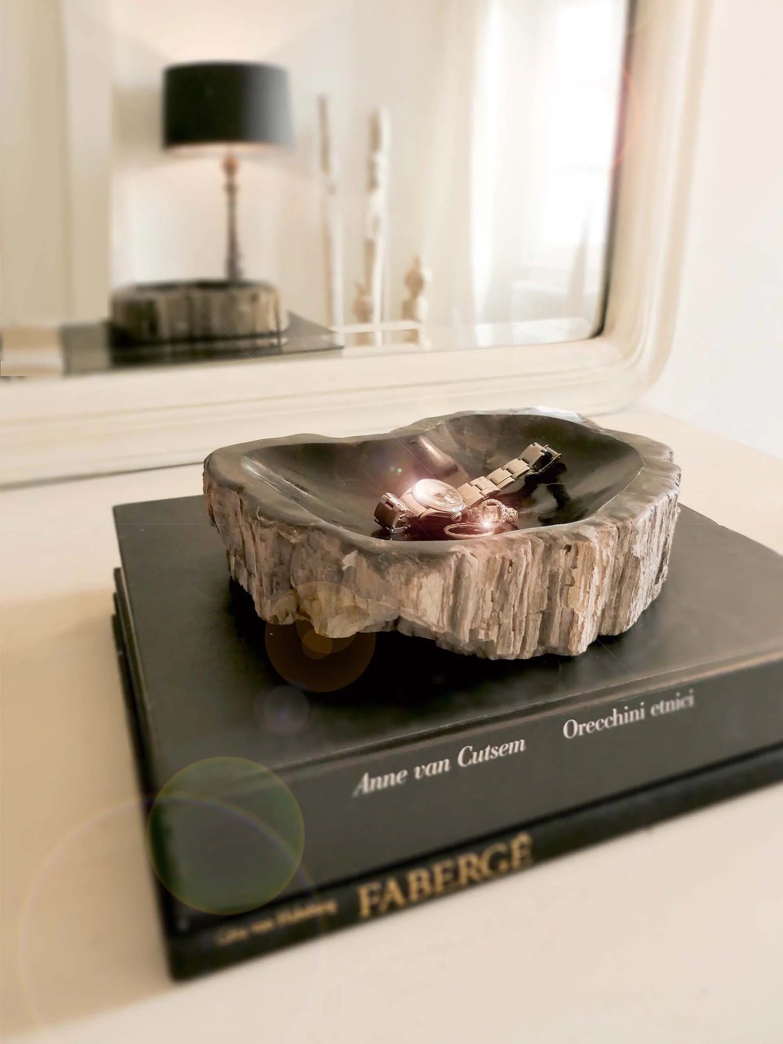 ALL ABOUT PETRIFIED WOOD