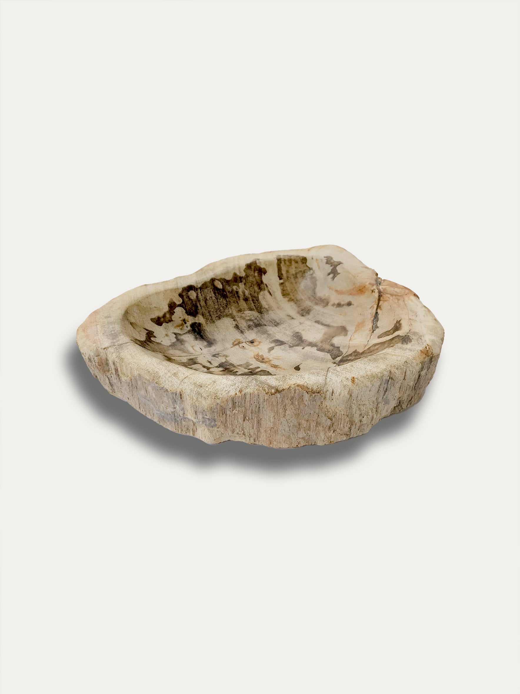 Petrified wood bowl