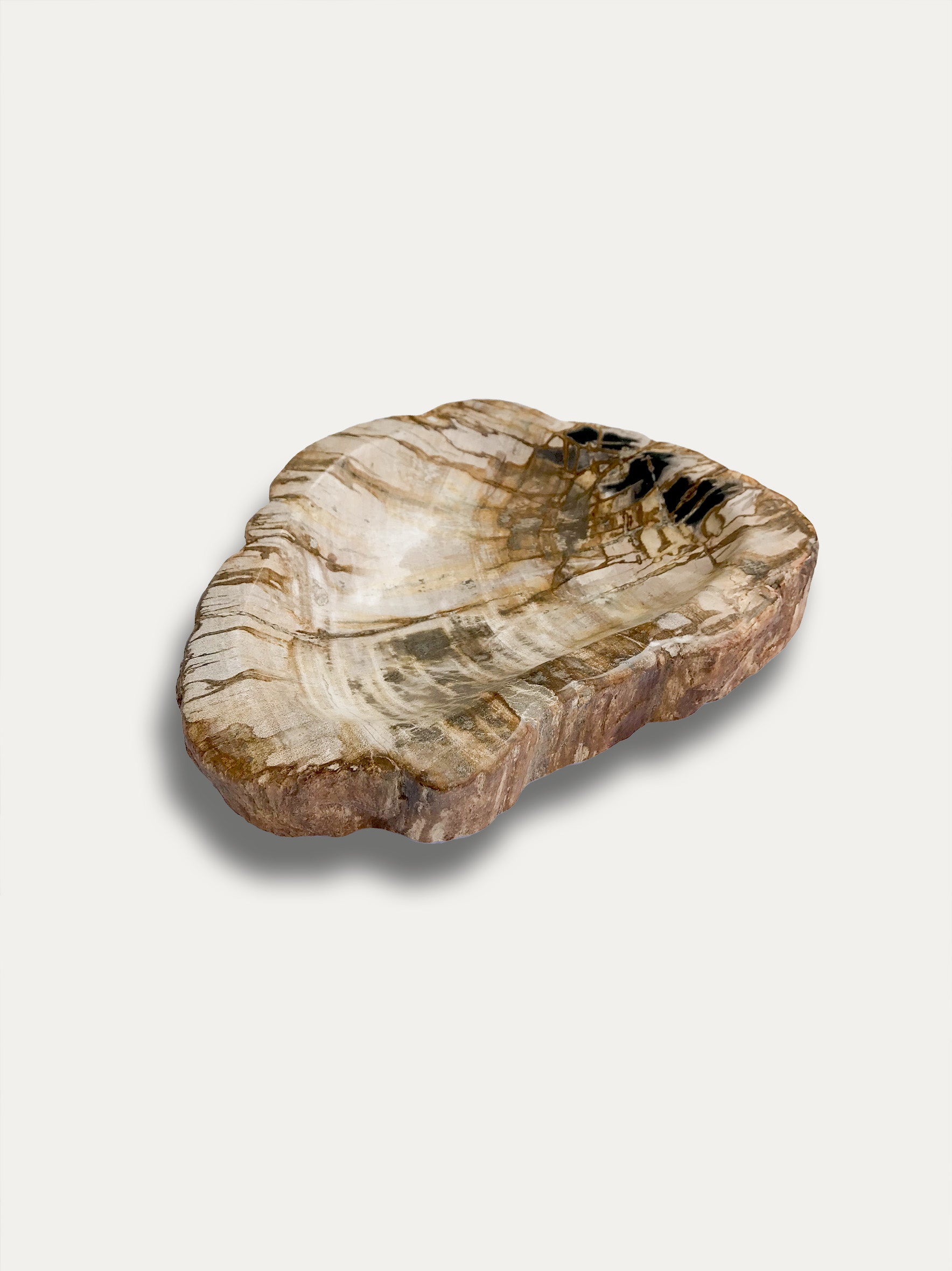 Petrified wood bowl