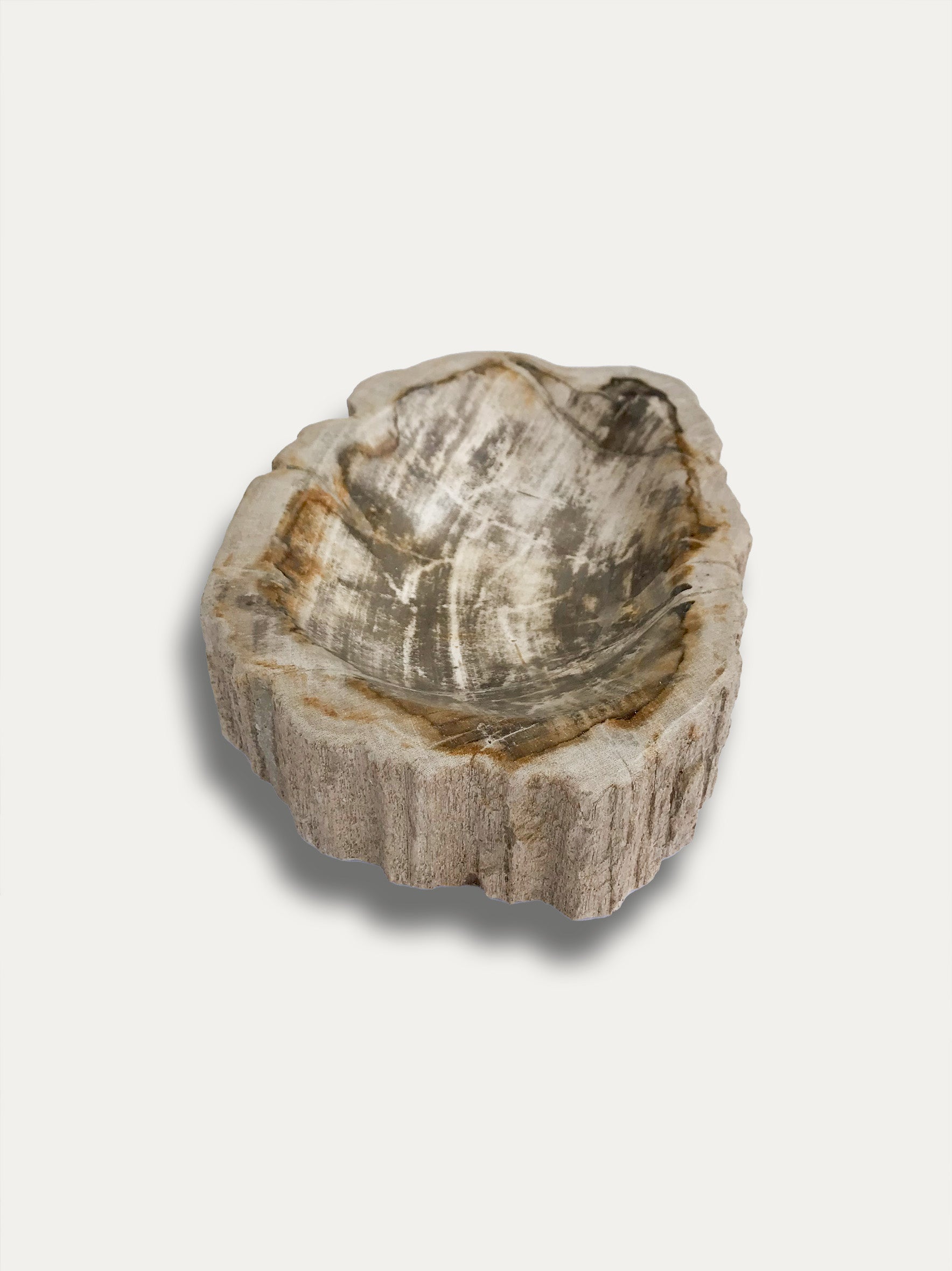 Petrified wood bowl