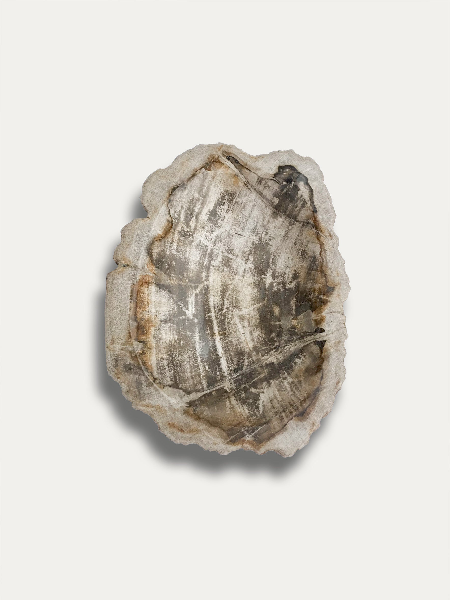 Petrified wood bowl